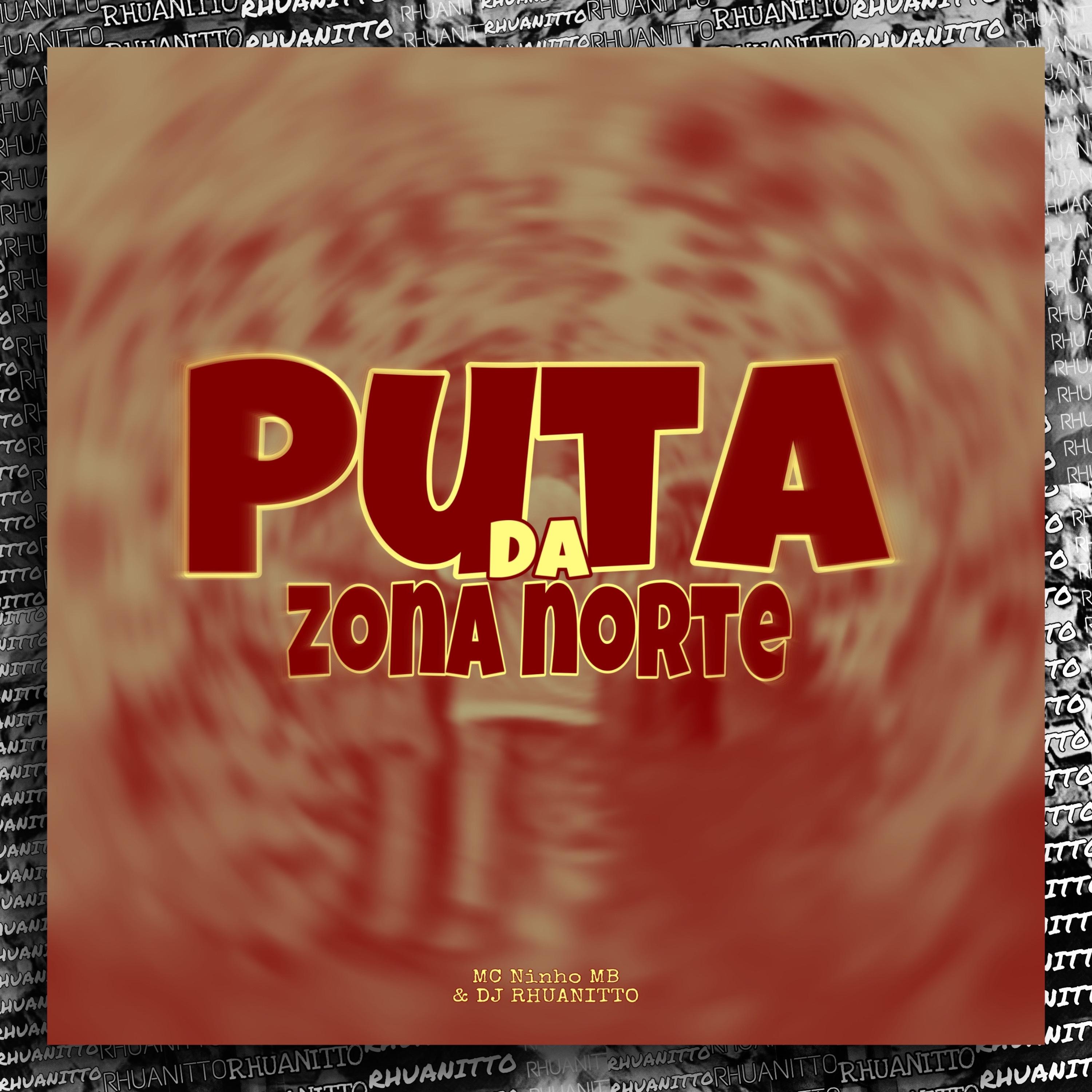 Постер альбома Puta da Zona Norte