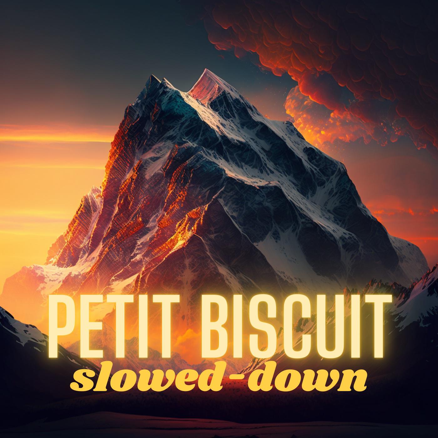 Постер альбома Petit Biscuit