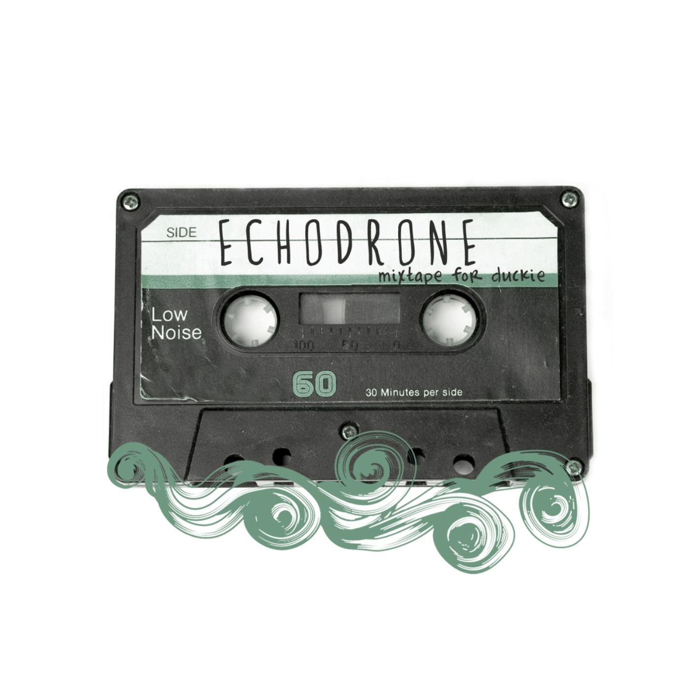Echodrone - Are Friends Electric?
