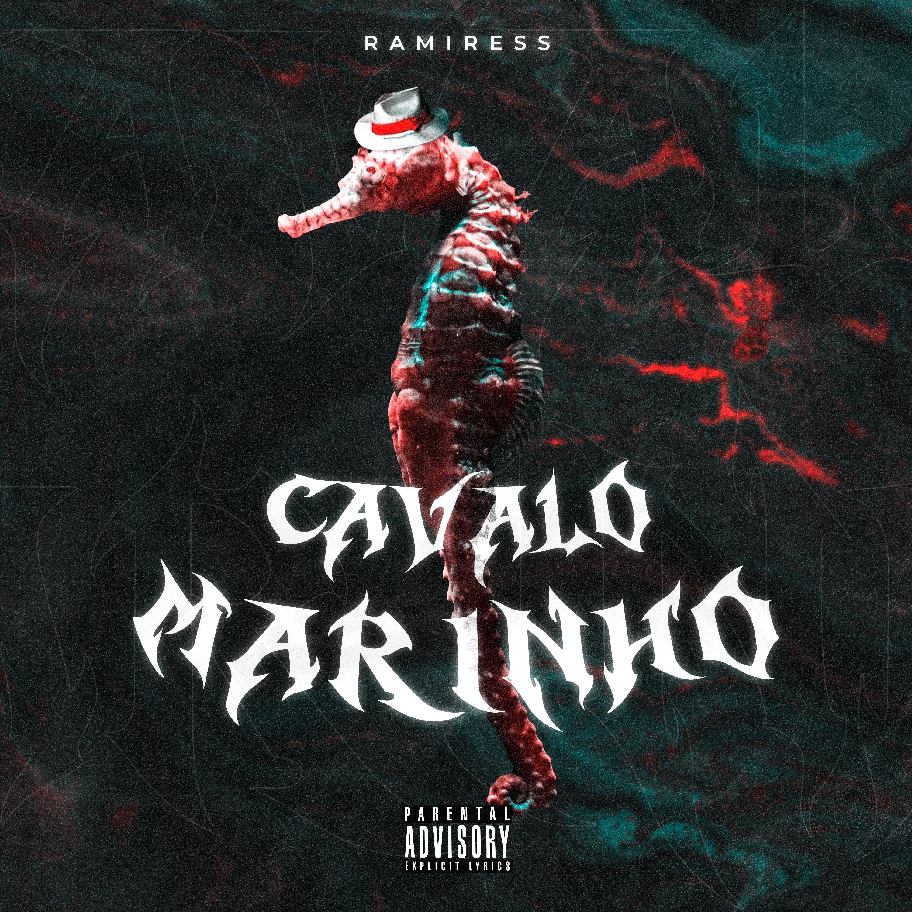 Постер альбома Cavalo-Marinho