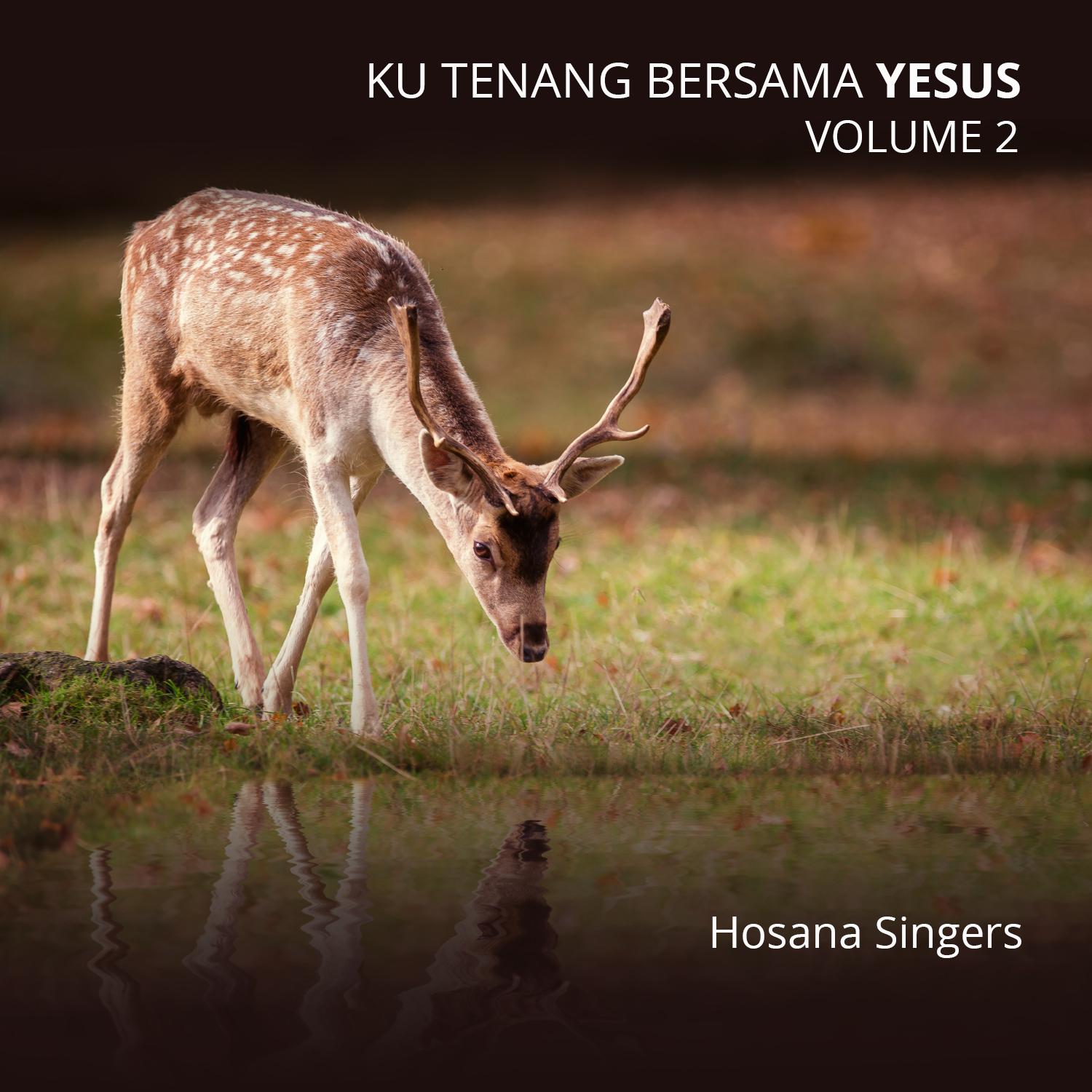 Постер альбома Ku Tenang Bersama Yesus, Vol. 2