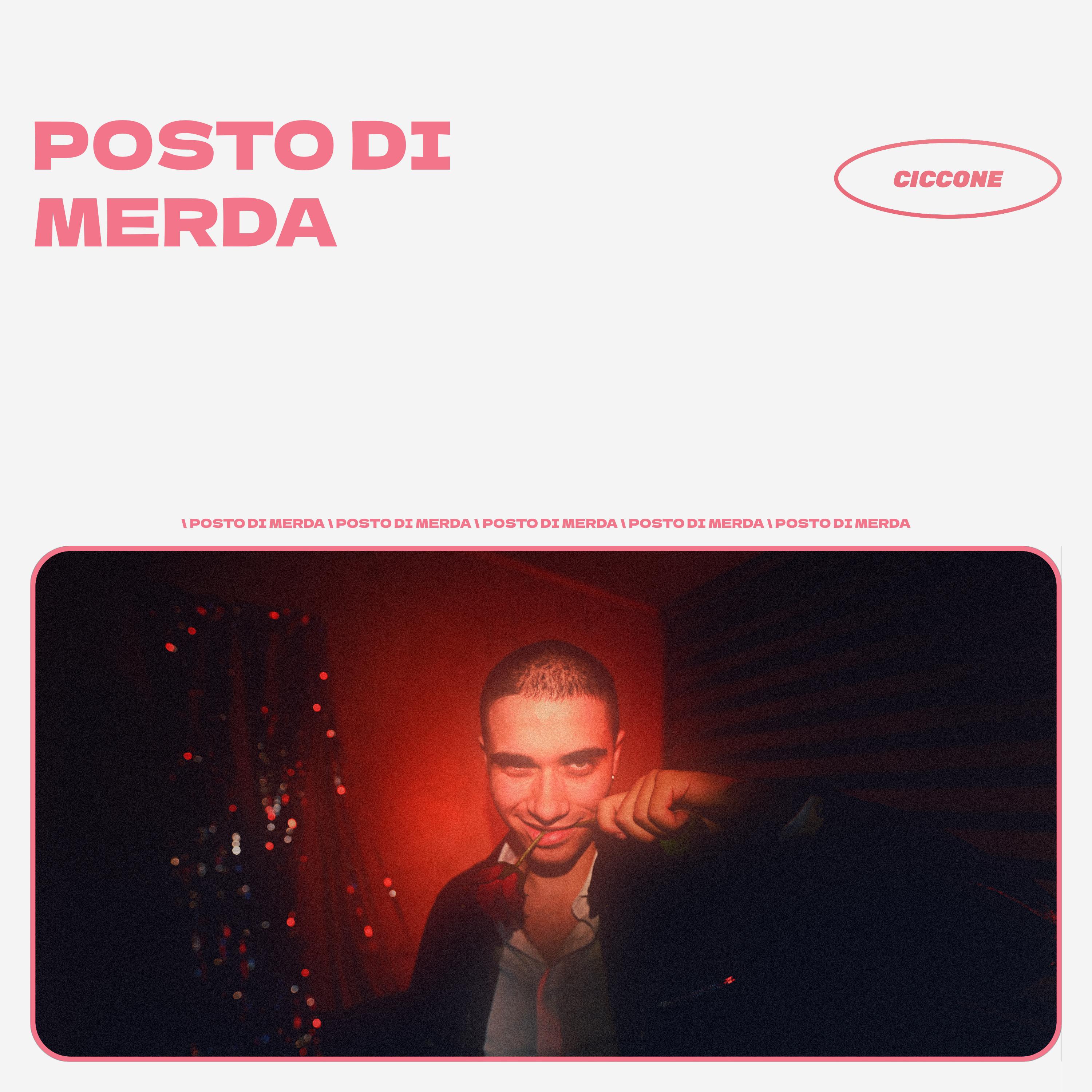 Постер альбома POSTO DI MERDA