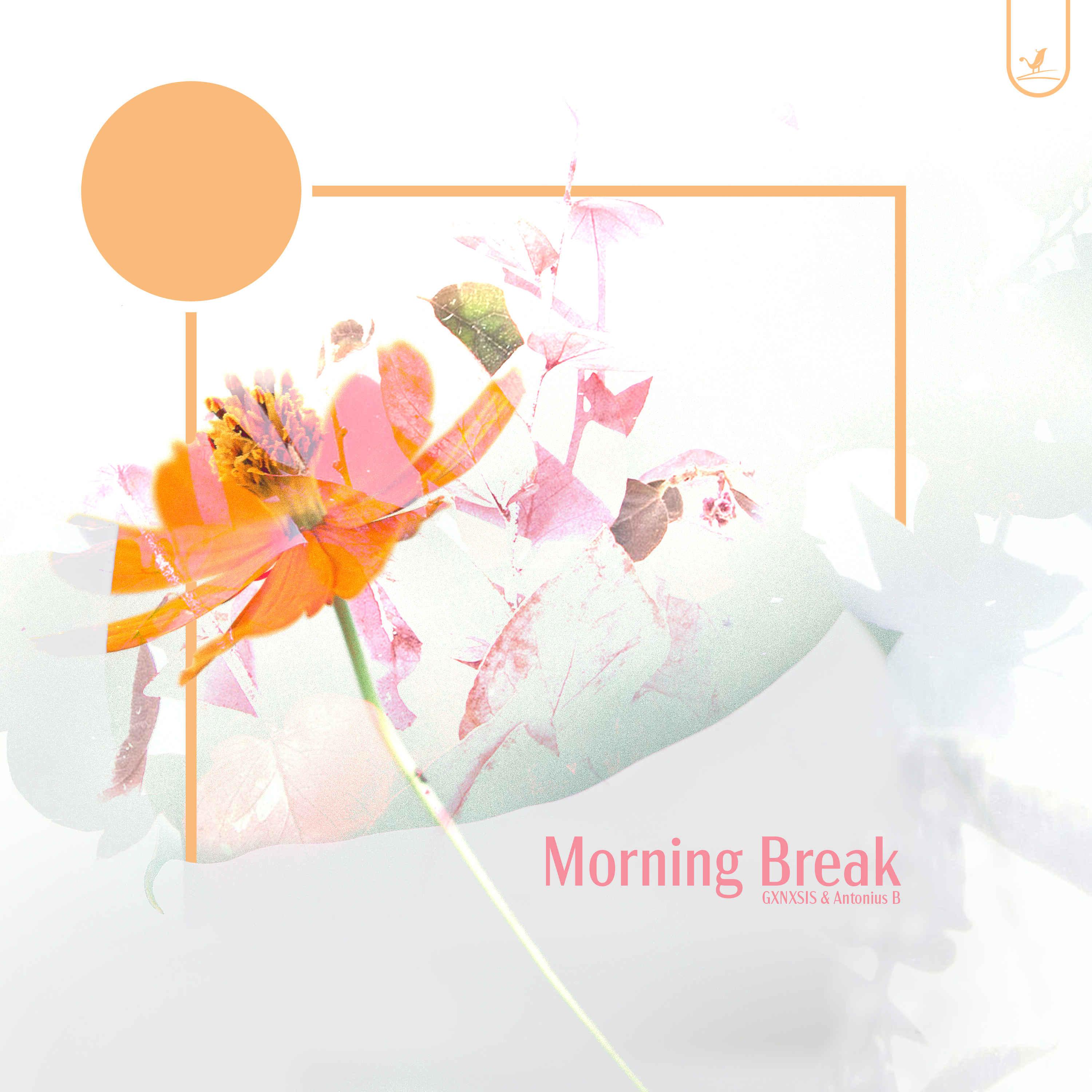 Постер альбома Morning Break