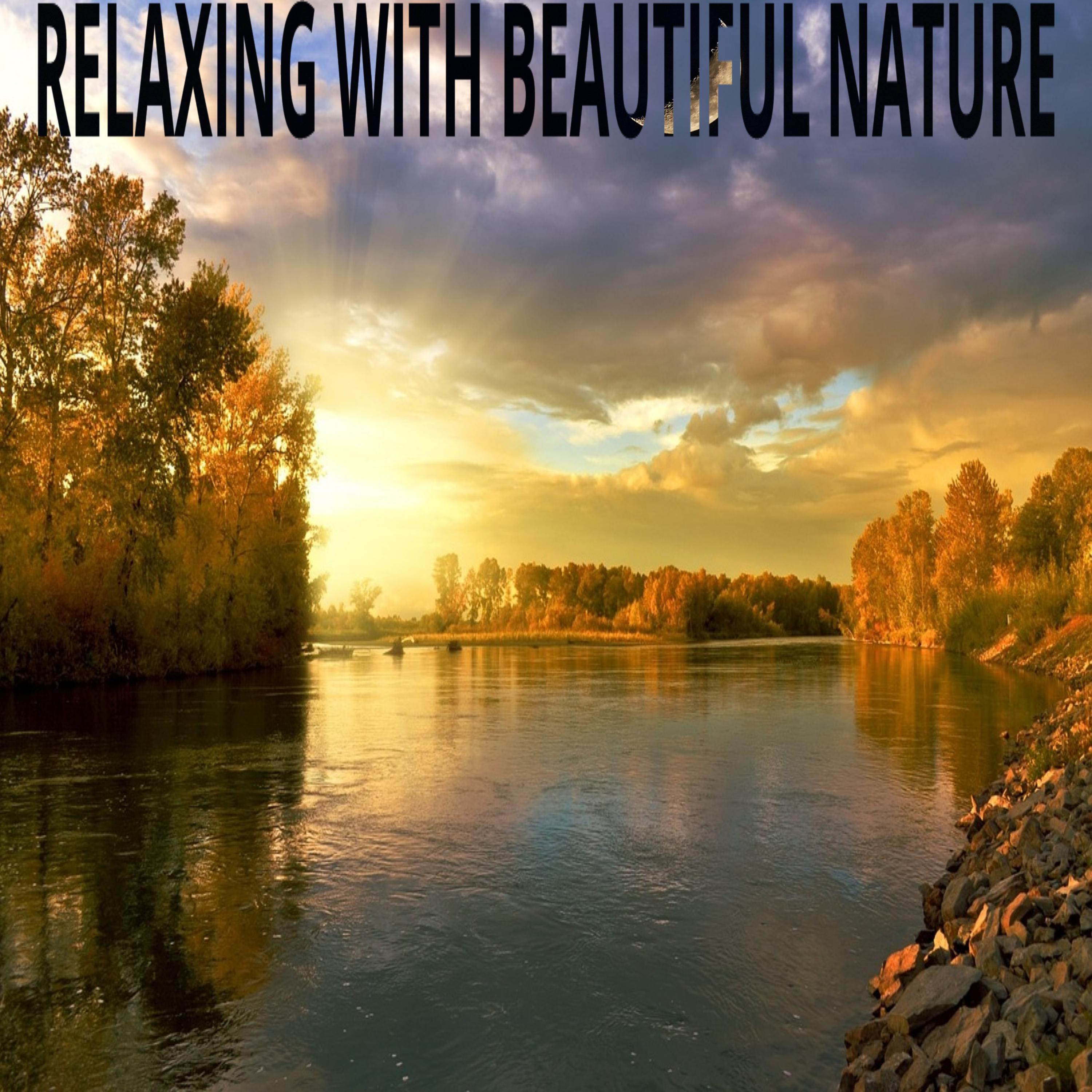 Постер альбома Relaxing with beautiful nature