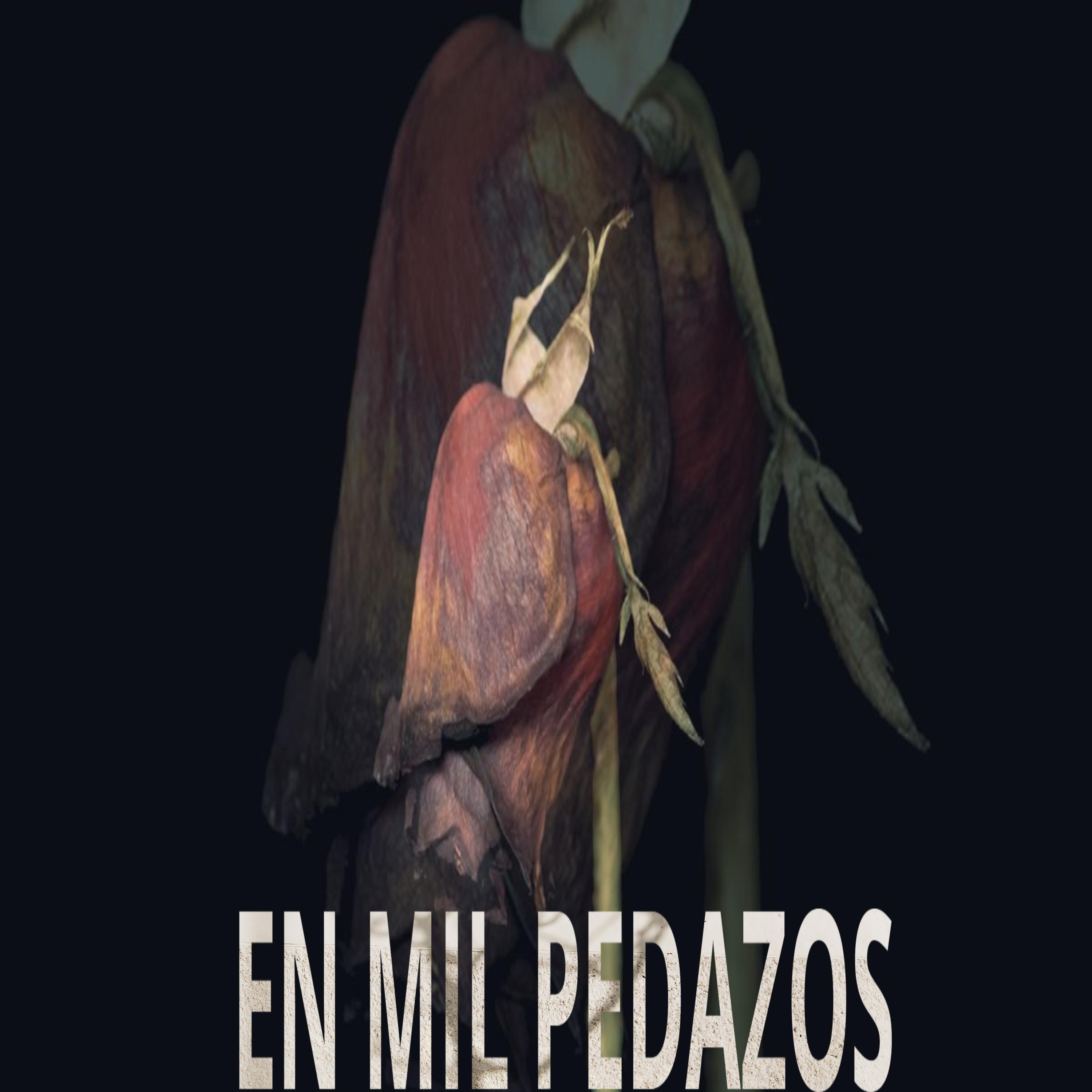 Постер альбома En mil pedazos