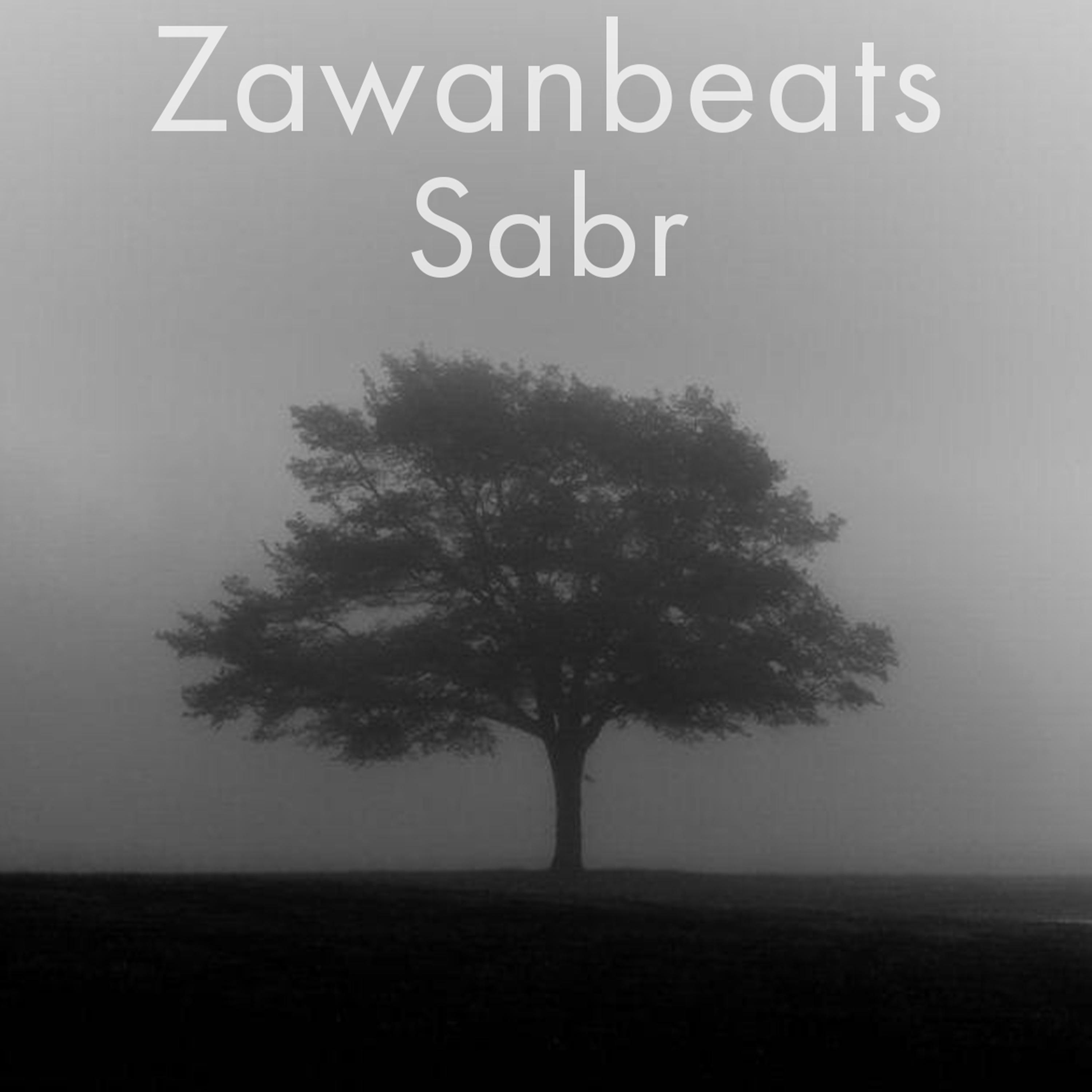 Постер альбома Sabr