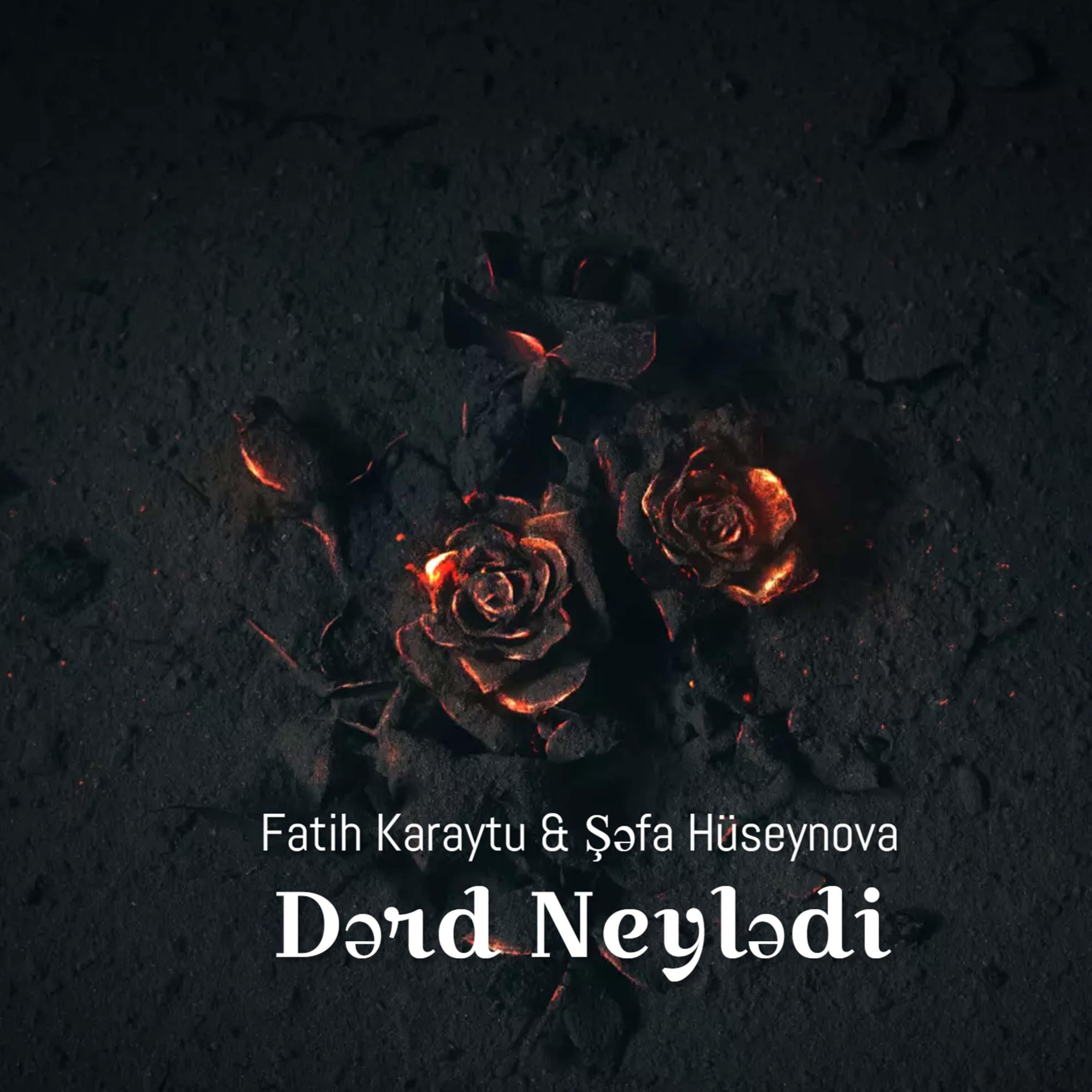 Постер альбома Dərd Neylədi