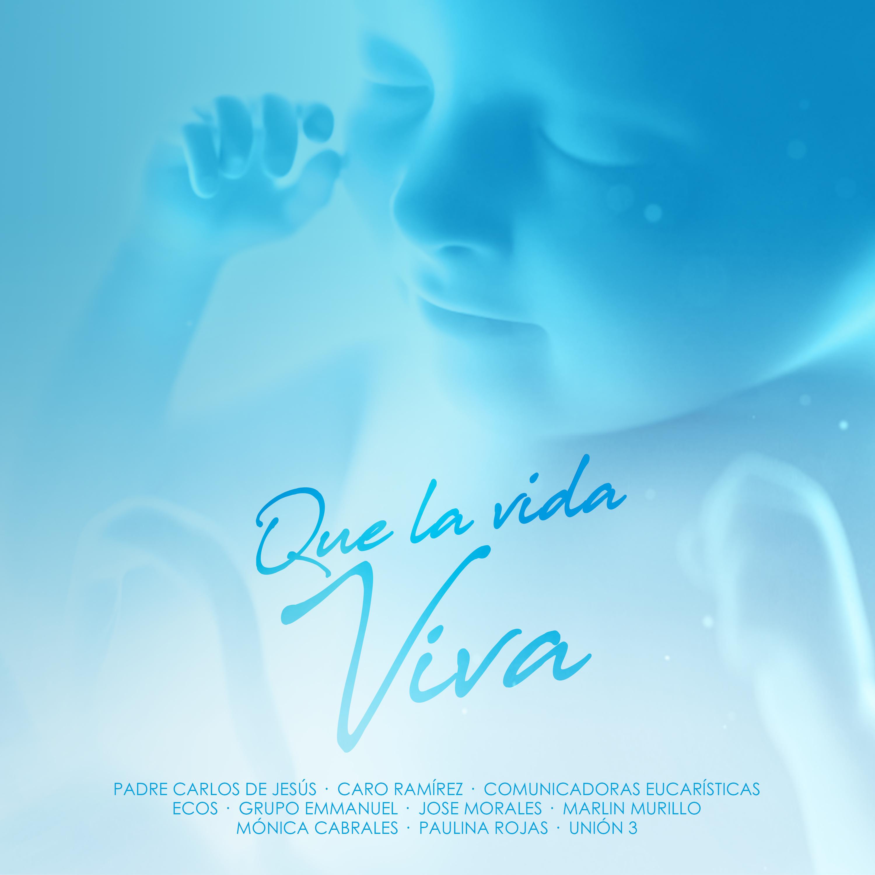 Постер альбома Que la Vida Viva
