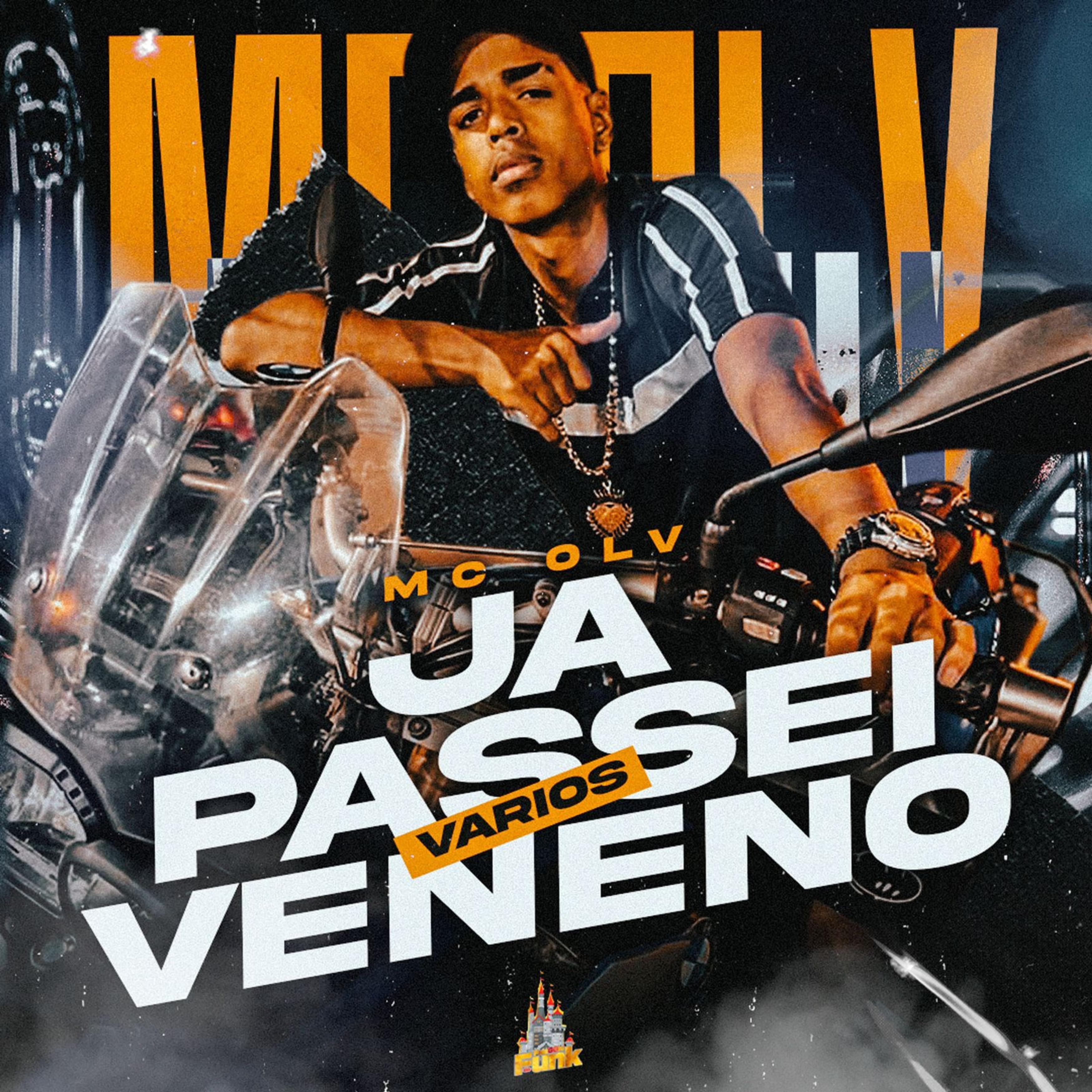 Постер альбома Já Passei Vários Veneno