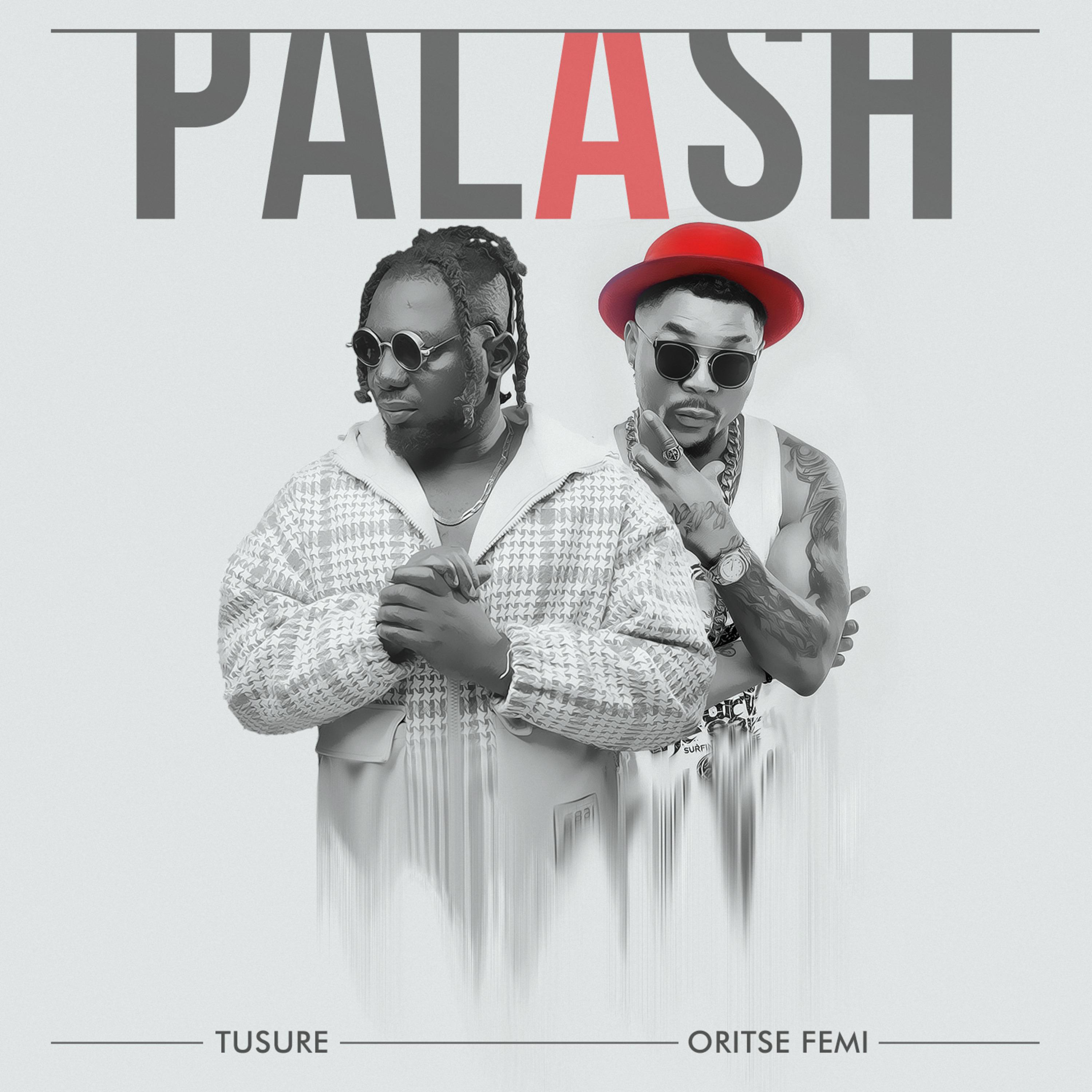 Постер альбома Palash