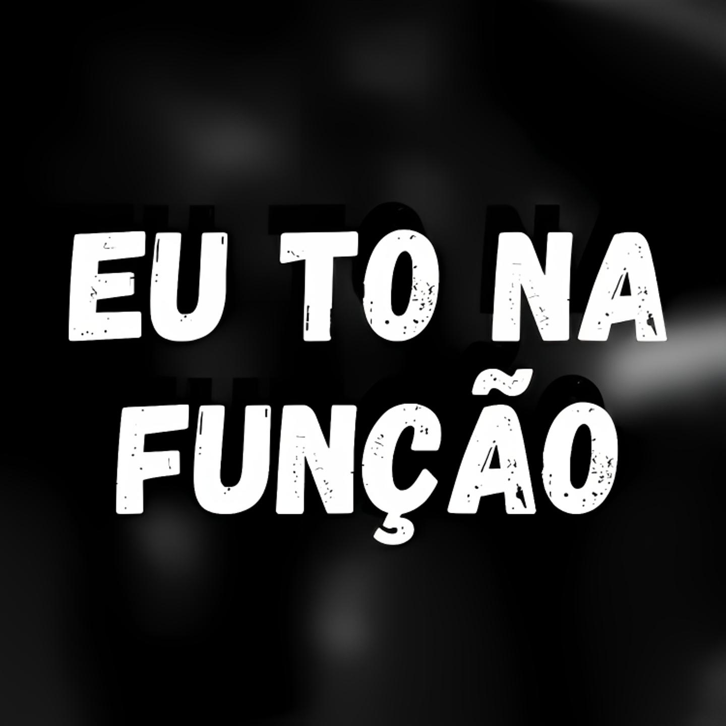 Постер альбома Eu to na Função
