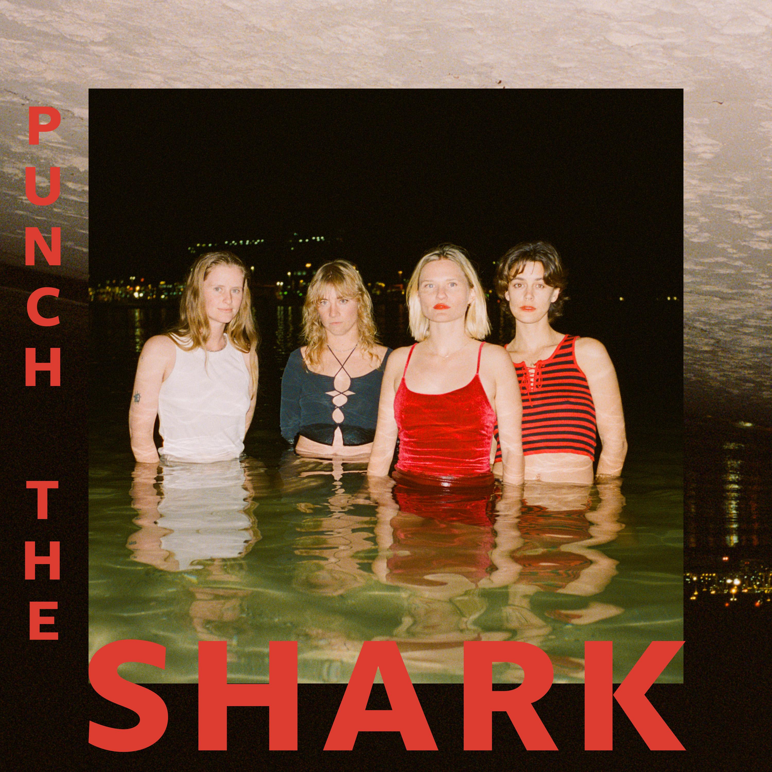 Постер альбома Punch The Shark