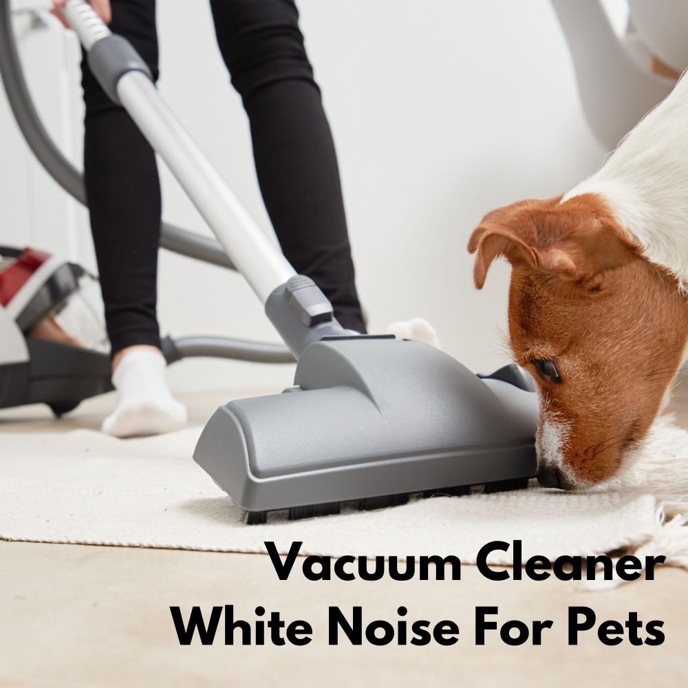 Постер альбома Vacuum Cleaner White Noise for Pets Vol. 2