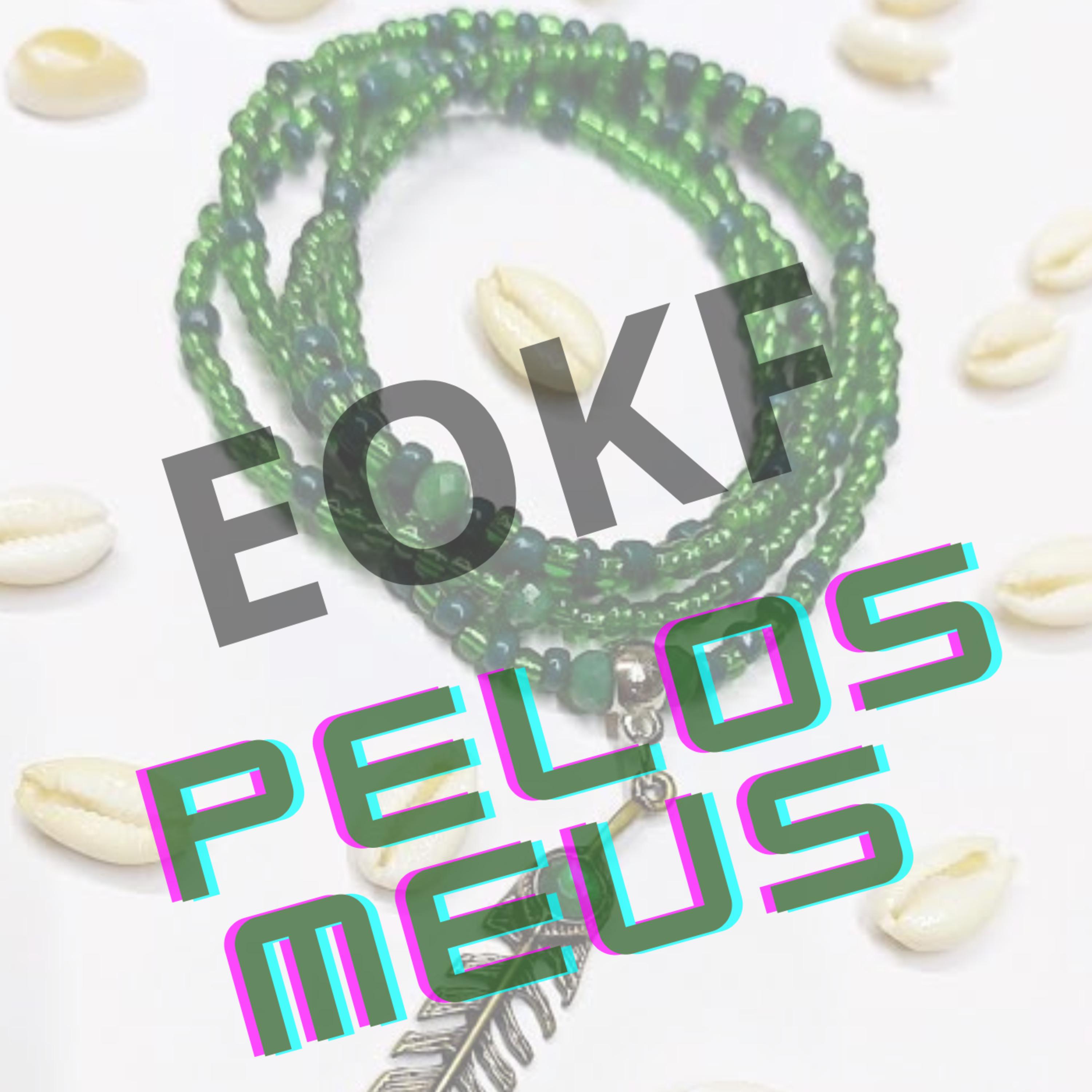 Постер альбома Pelos Meus