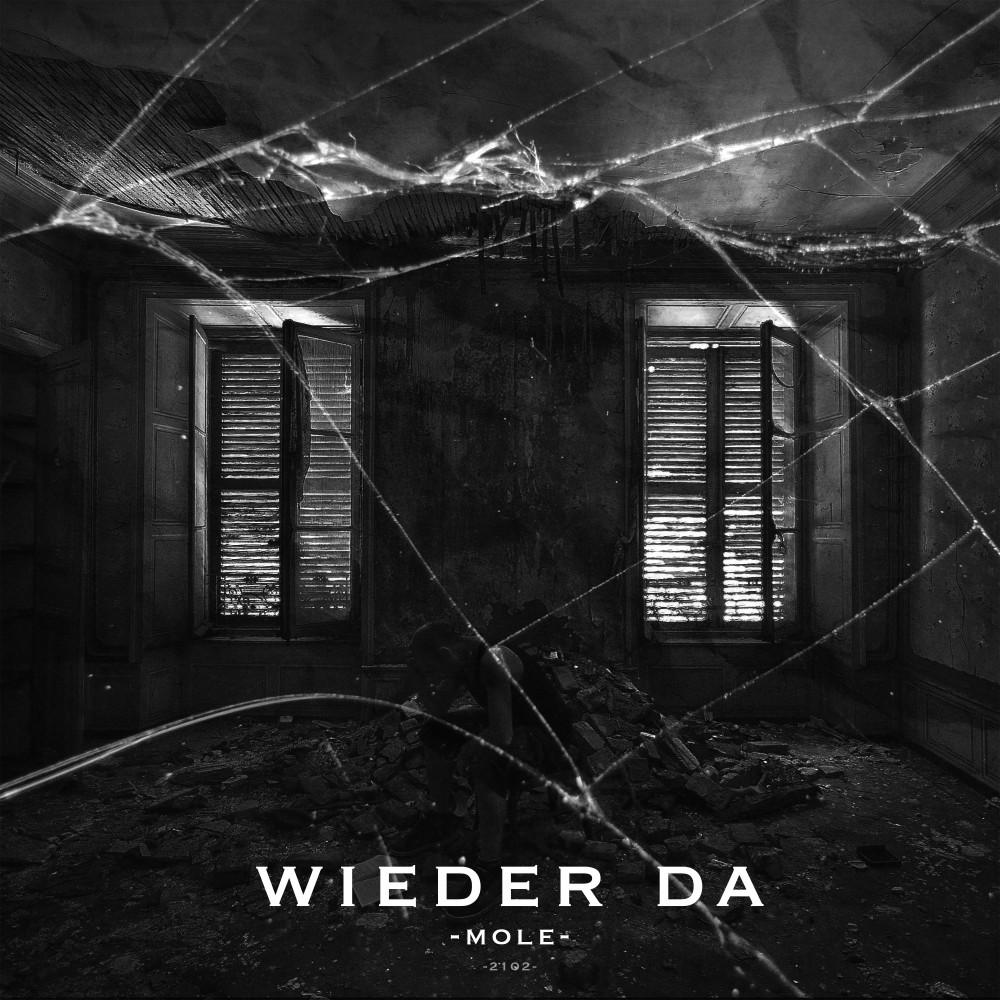 Постер альбома Wieder Da
