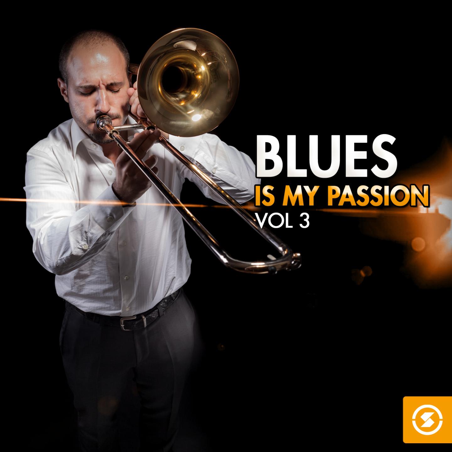 Постер альбома Blues Is My Passion, Vol. 3