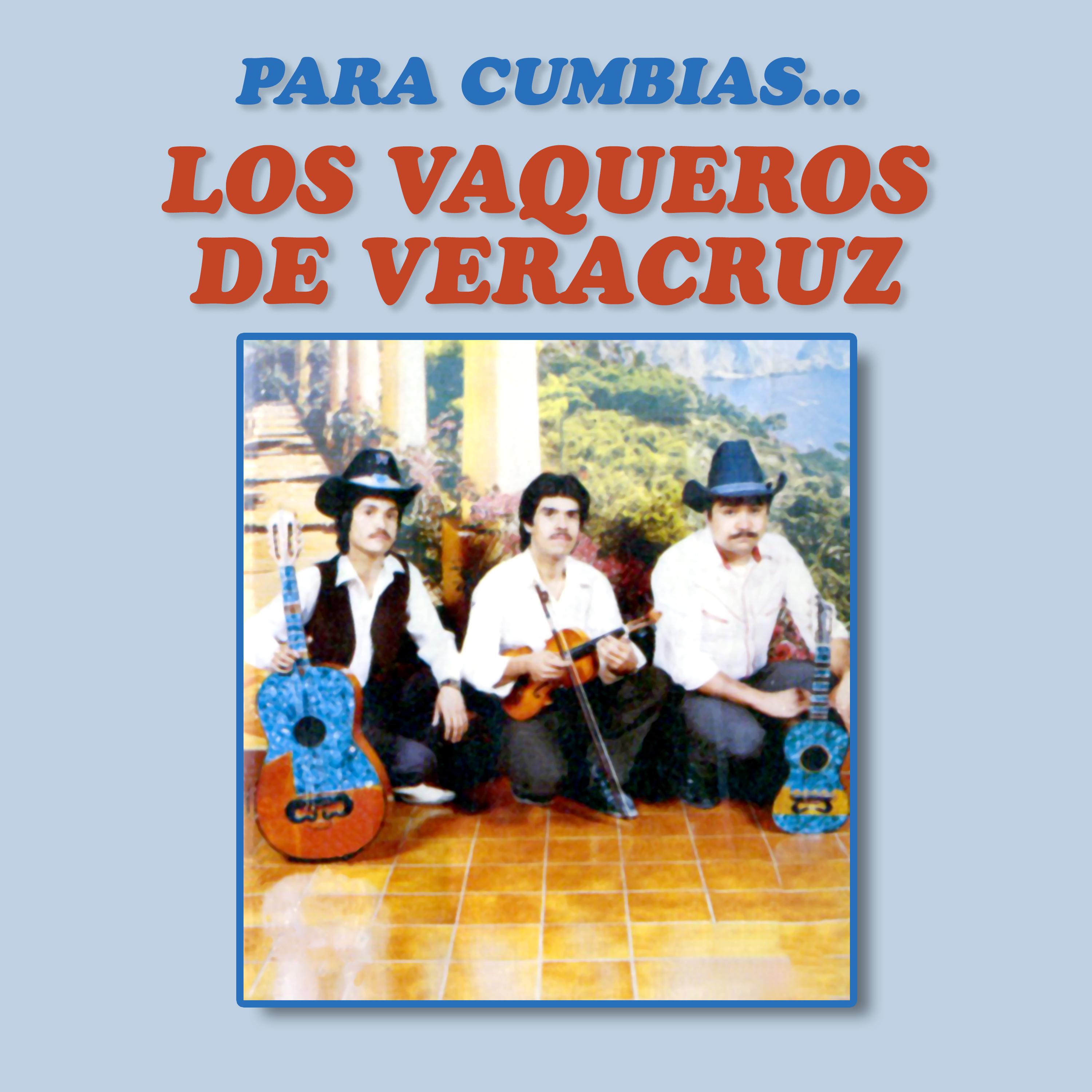 Постер альбома Para Cumbias...