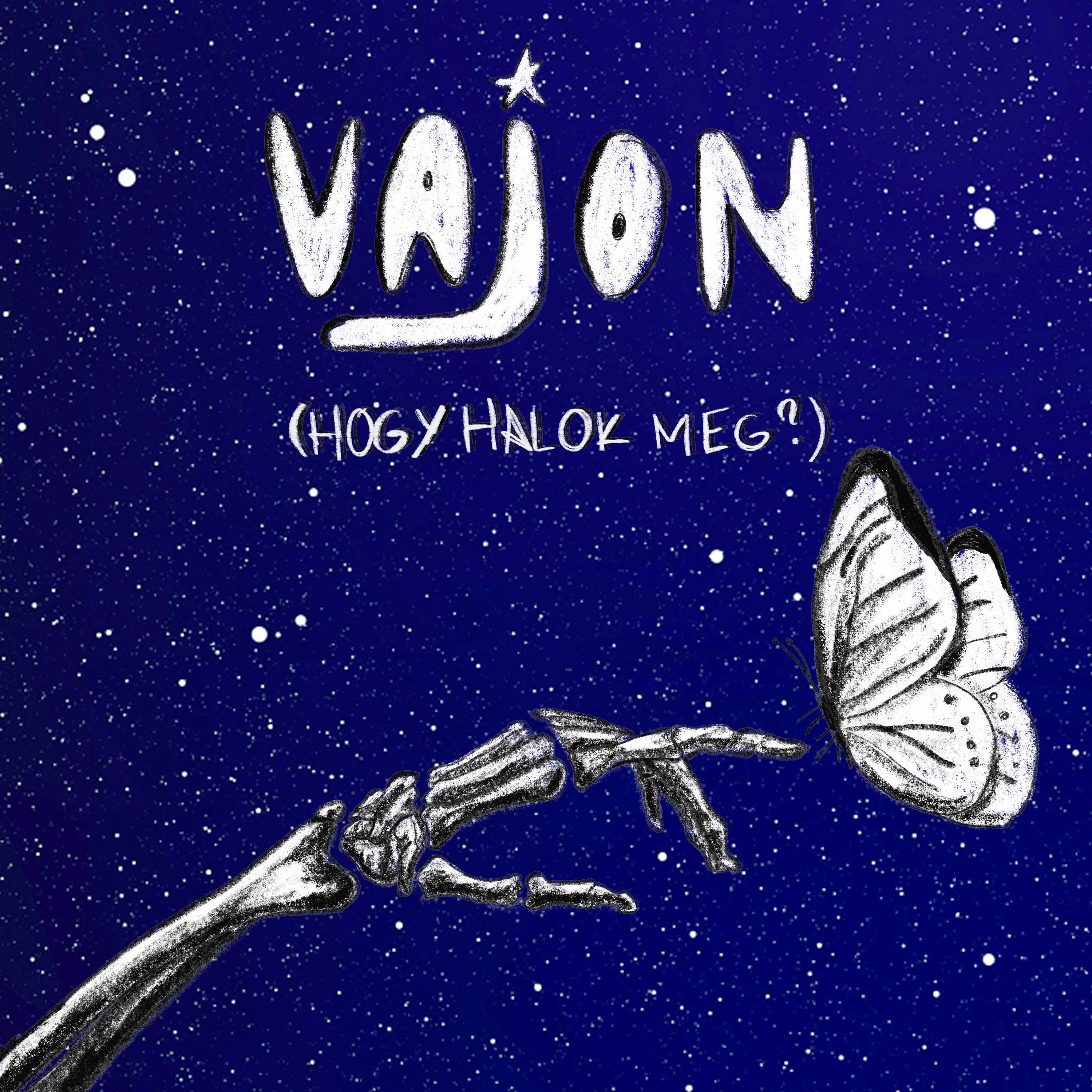 Постер альбома Vajon