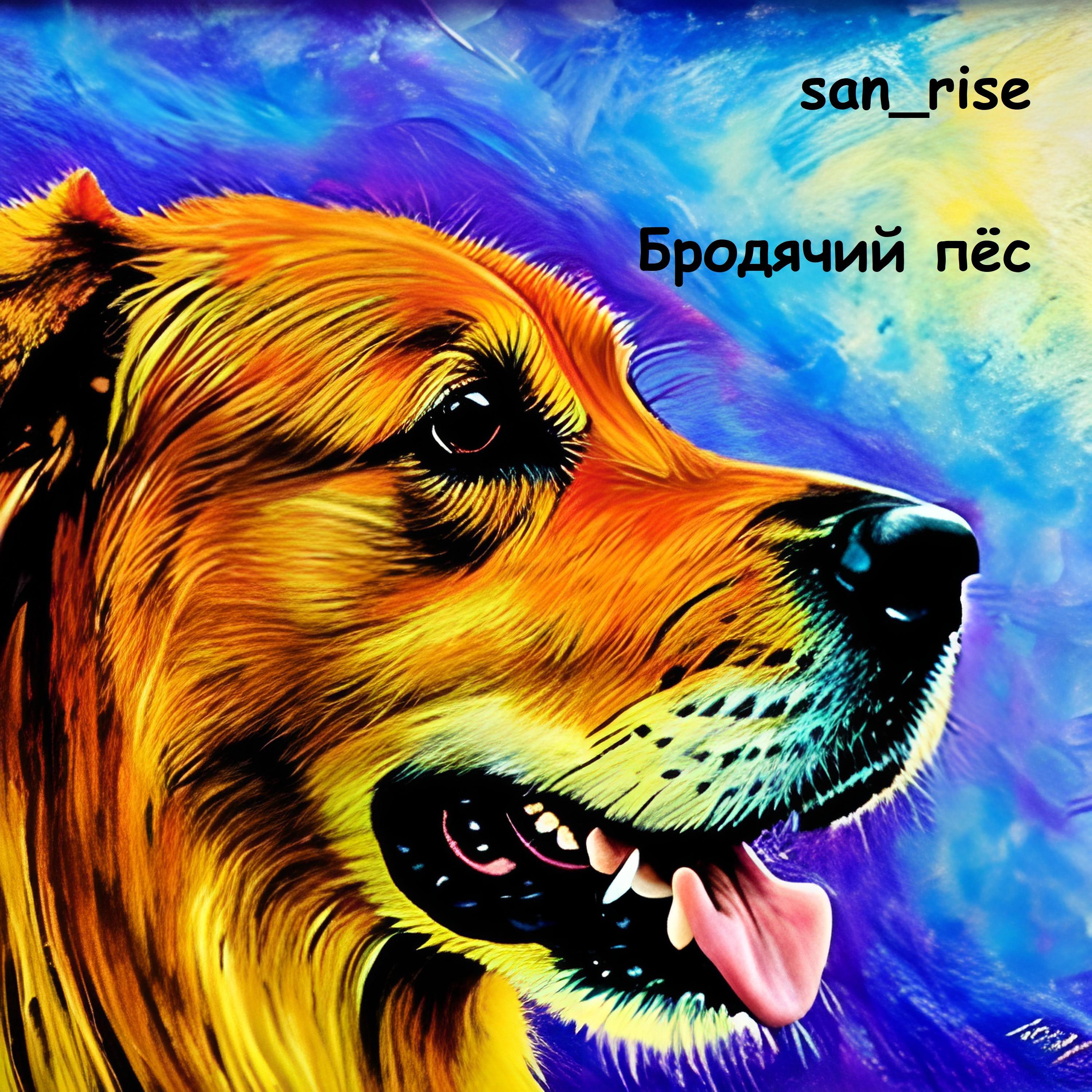 Постер альбома Бродячий пёс