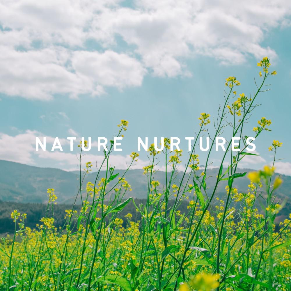 Постер альбома Nature Nurtures