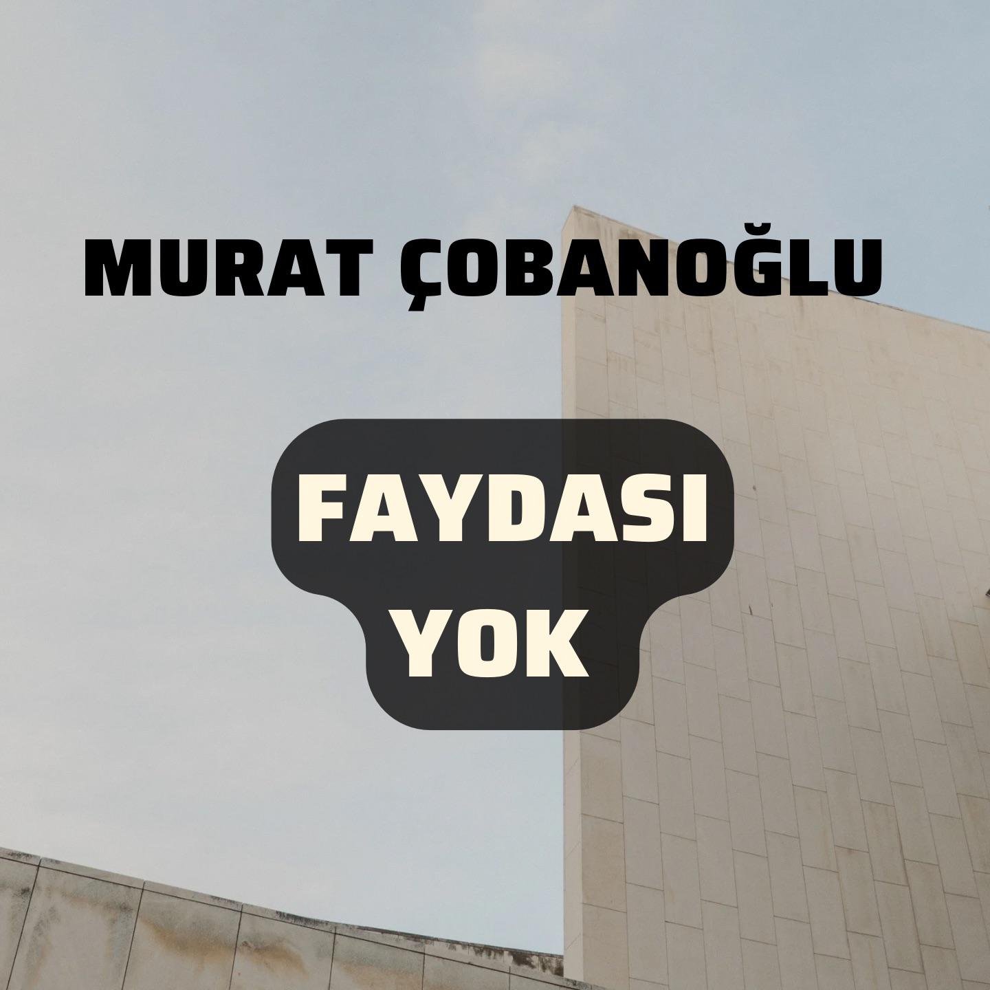 Постер альбома Faydası Yok