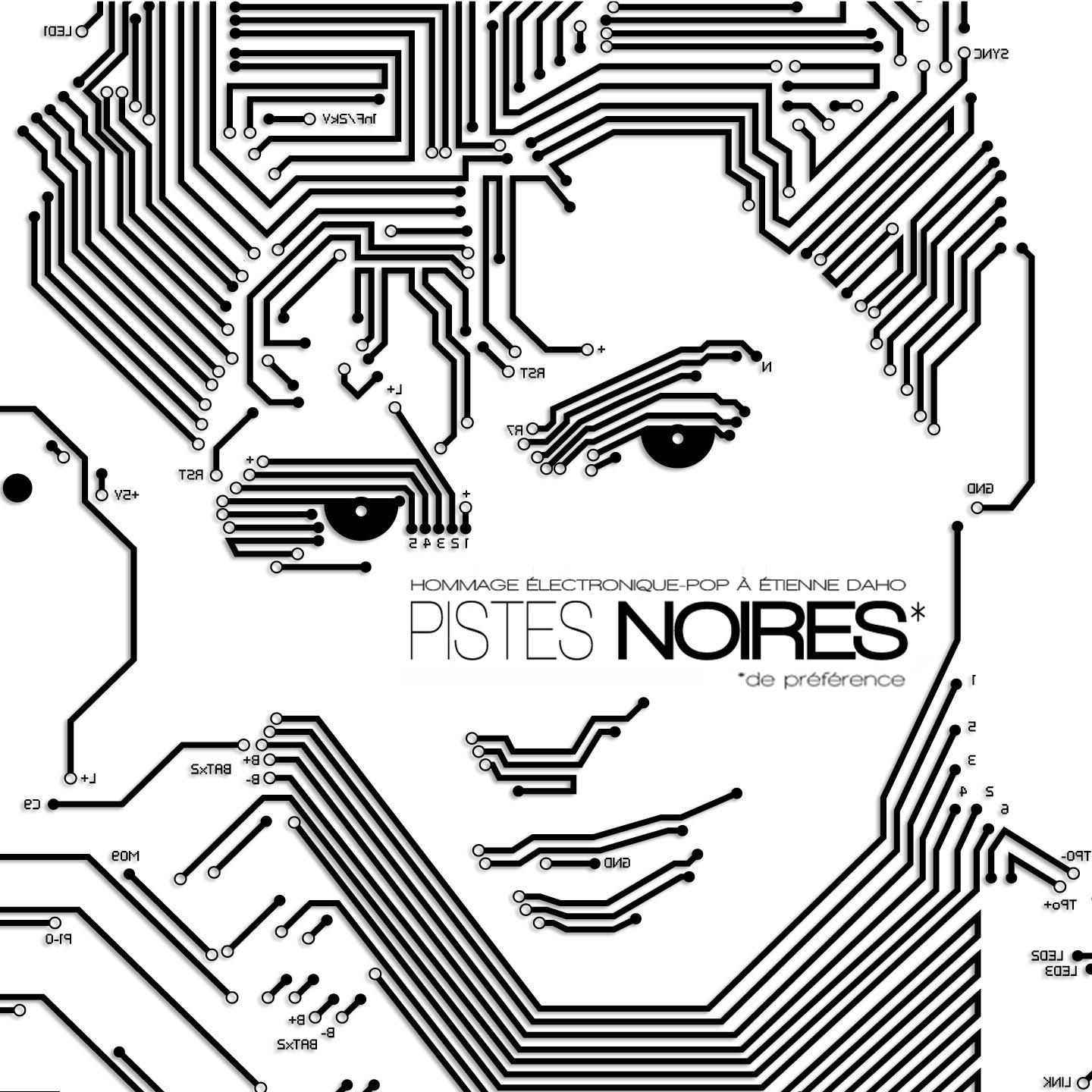 Постер альбома Pistes noires (De préférence) [Hommage électronique-pop à Etienne Daho]