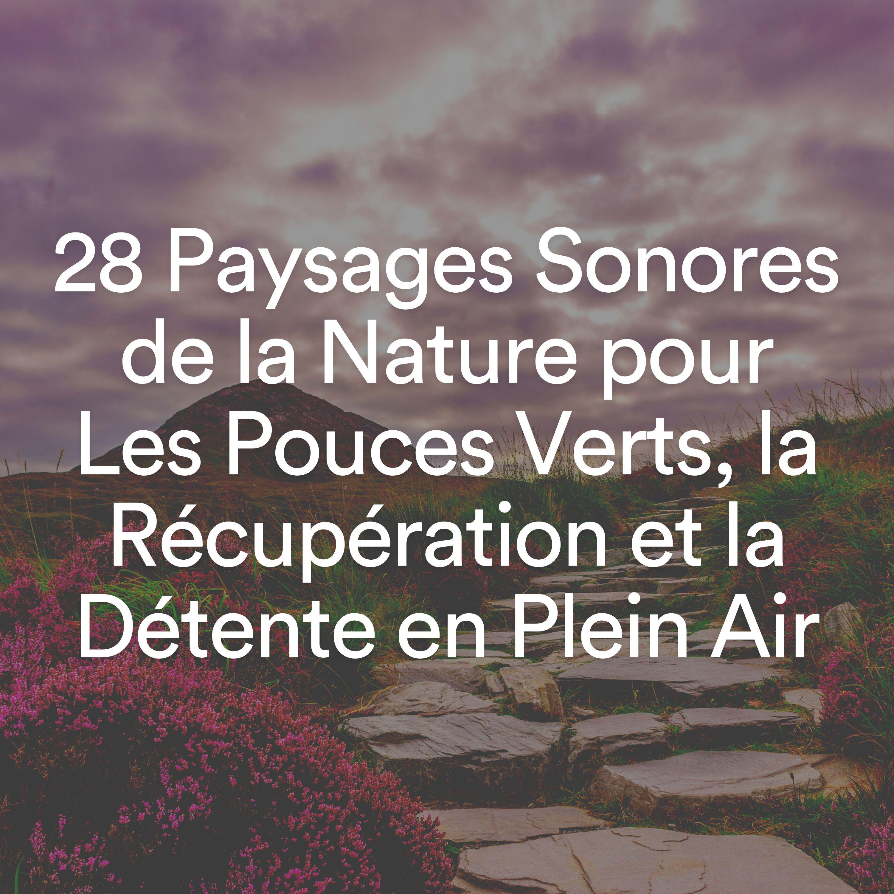 Постер альбома 28 Paysages Sonores de la Nature pour Les Pouces Verts, la Récupération et la Détente en Plein Air