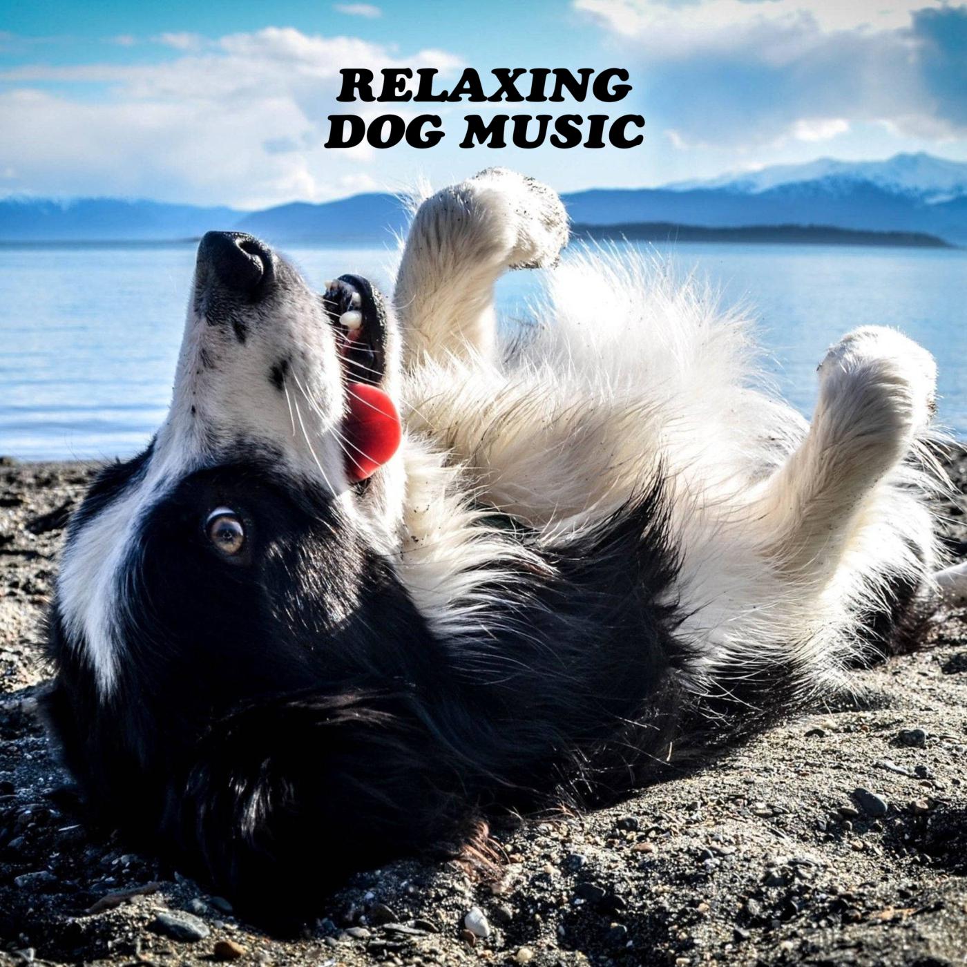 Постер альбома Relaxing Dog Music