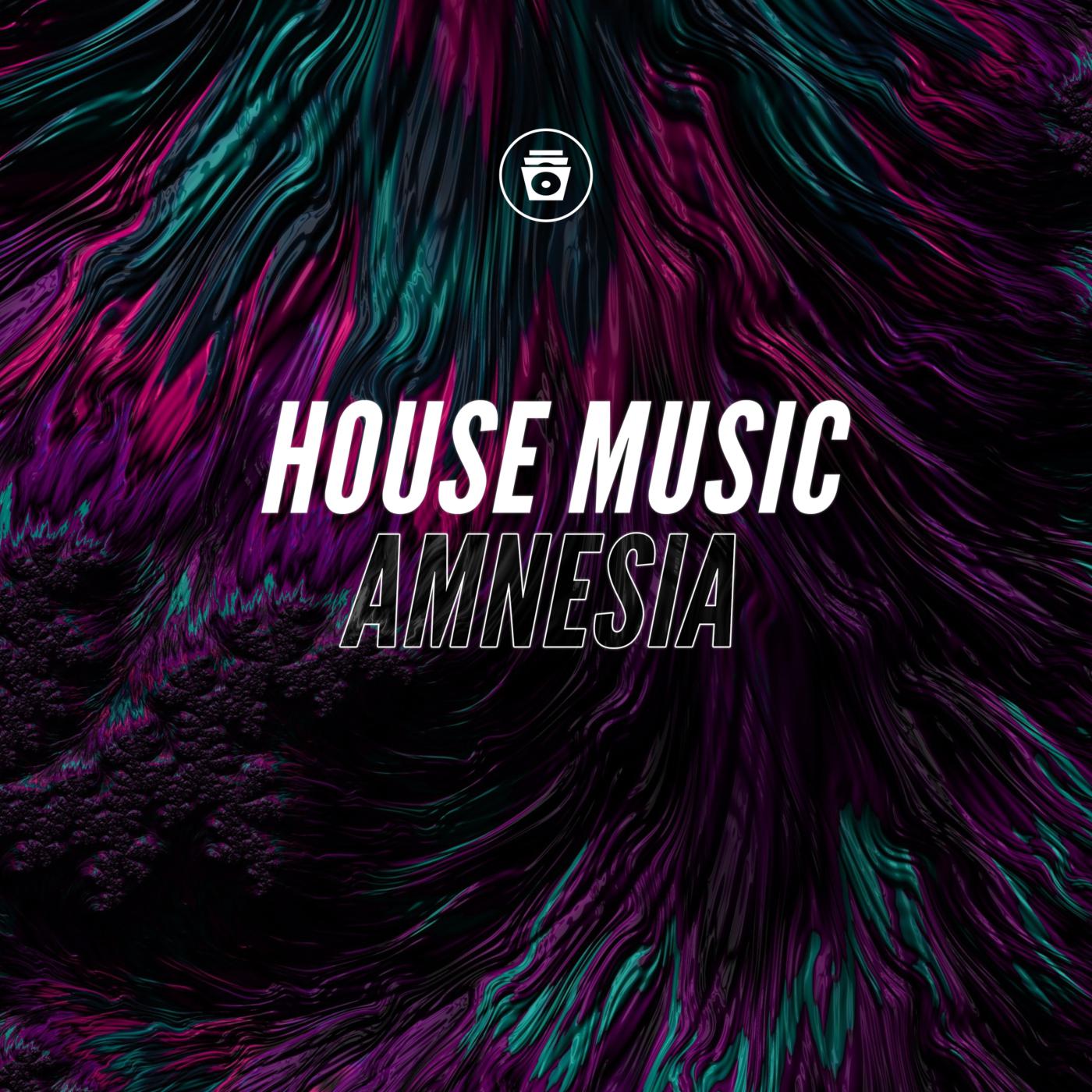 Постер альбома House Music Amnesia