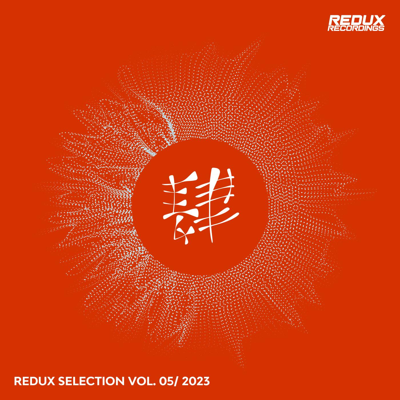Постер альбома Redux Selection, Vol. 5 / 2023