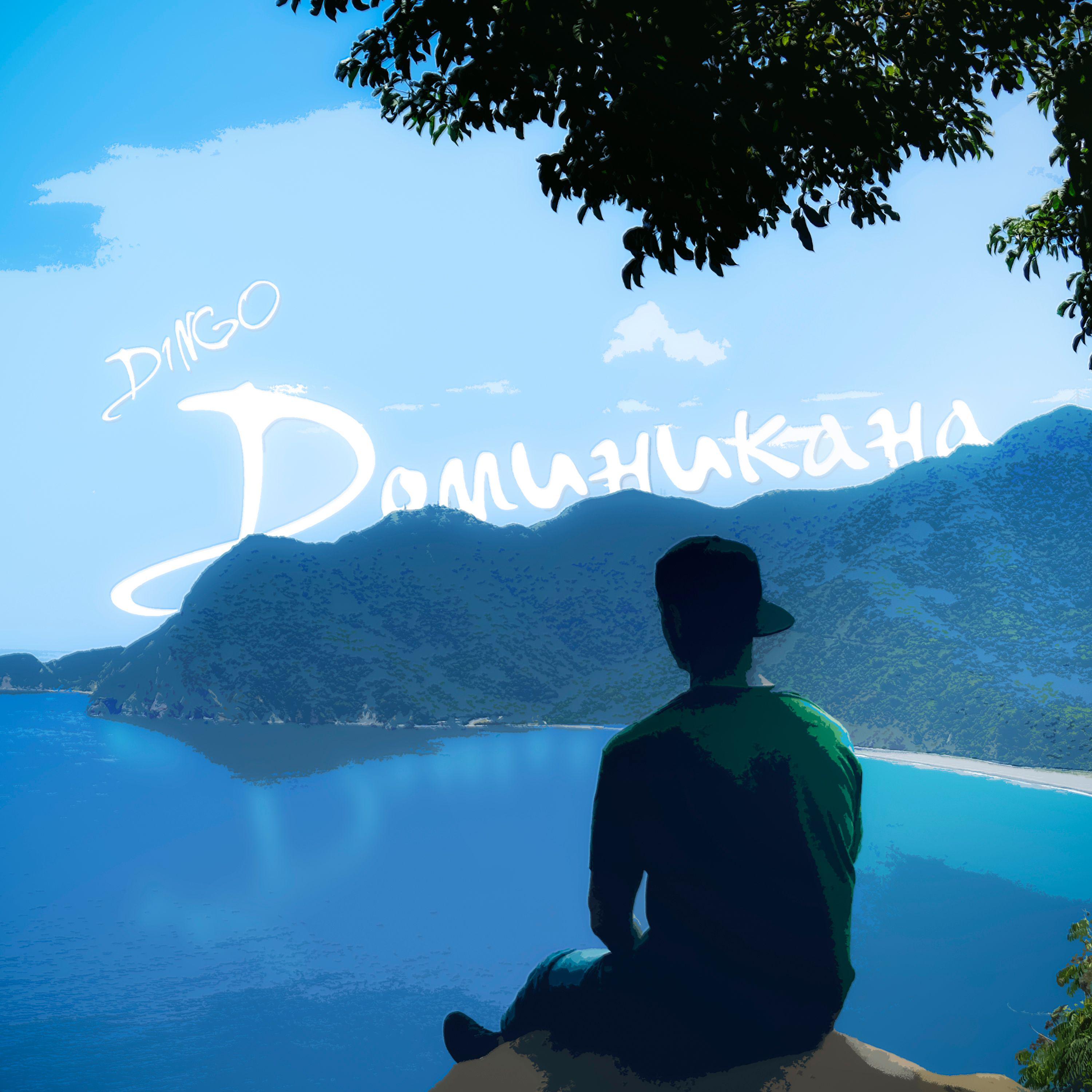 Постер альбома Доминикана