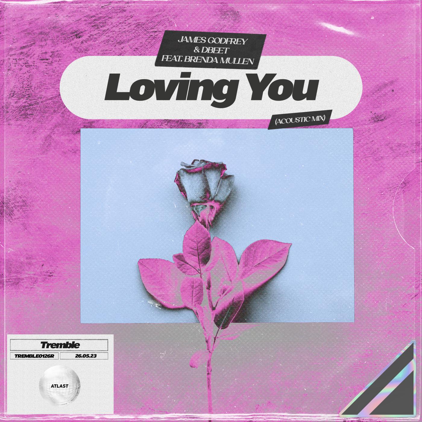 Постер альбома Loving You (Acoustic Mix)