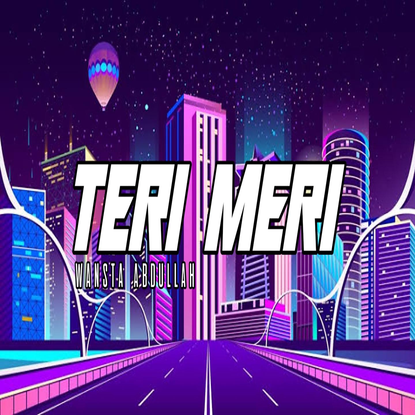 Постер альбома Teri Meri