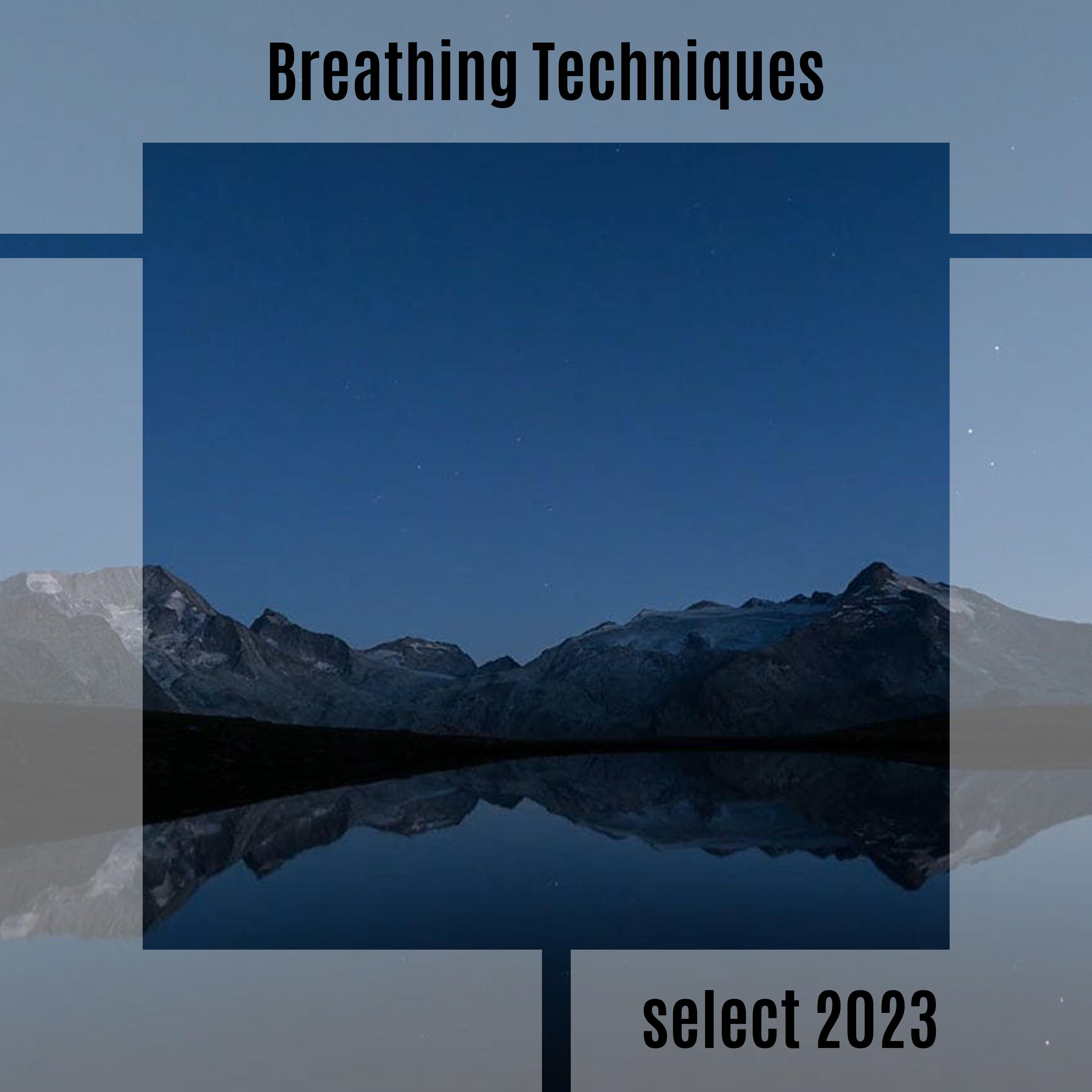 Постер альбома Breathing Techniques Select 2023