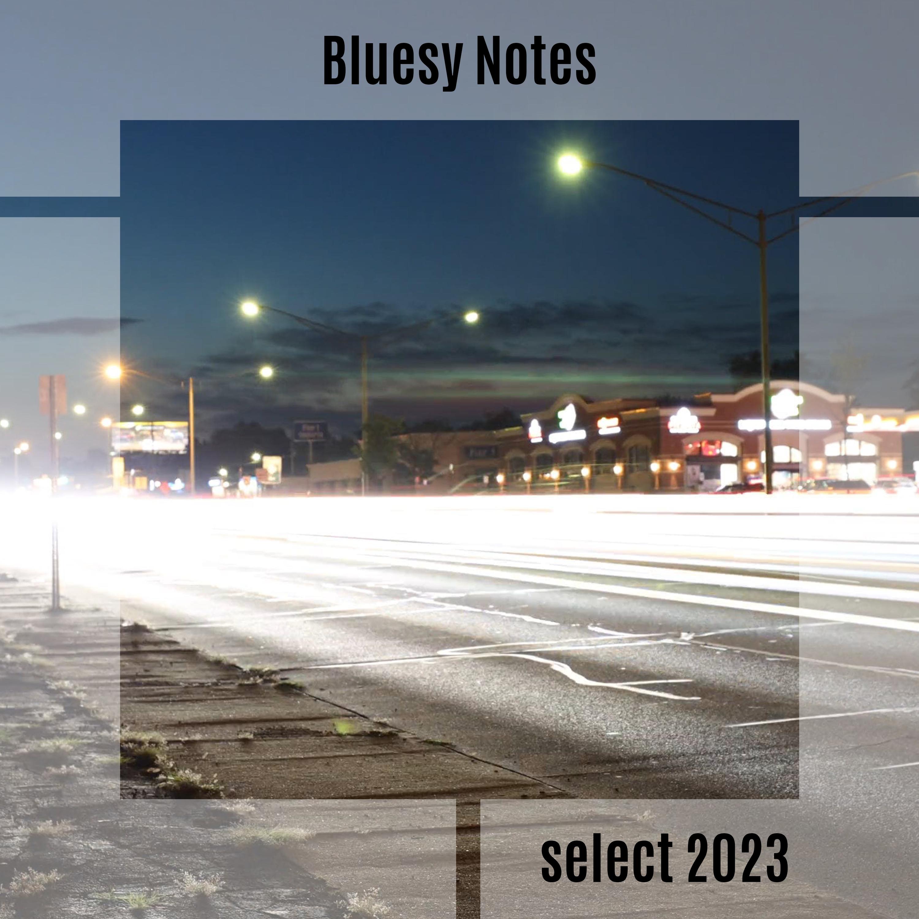 Постер альбома Bluesy Notes Select 2023