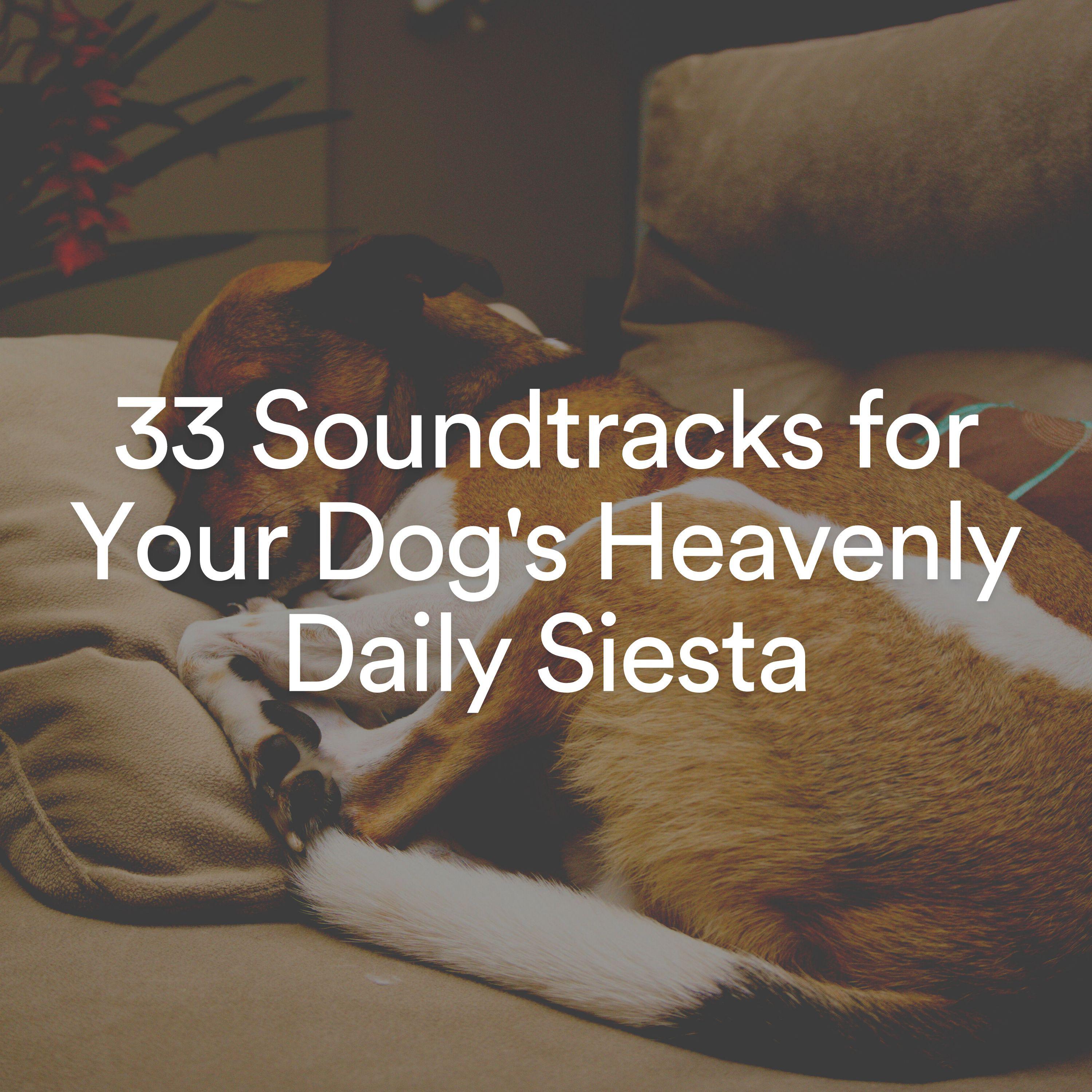 Постер альбома 33 Soundtracks for Your Dog's Heavenly Daily Siesta