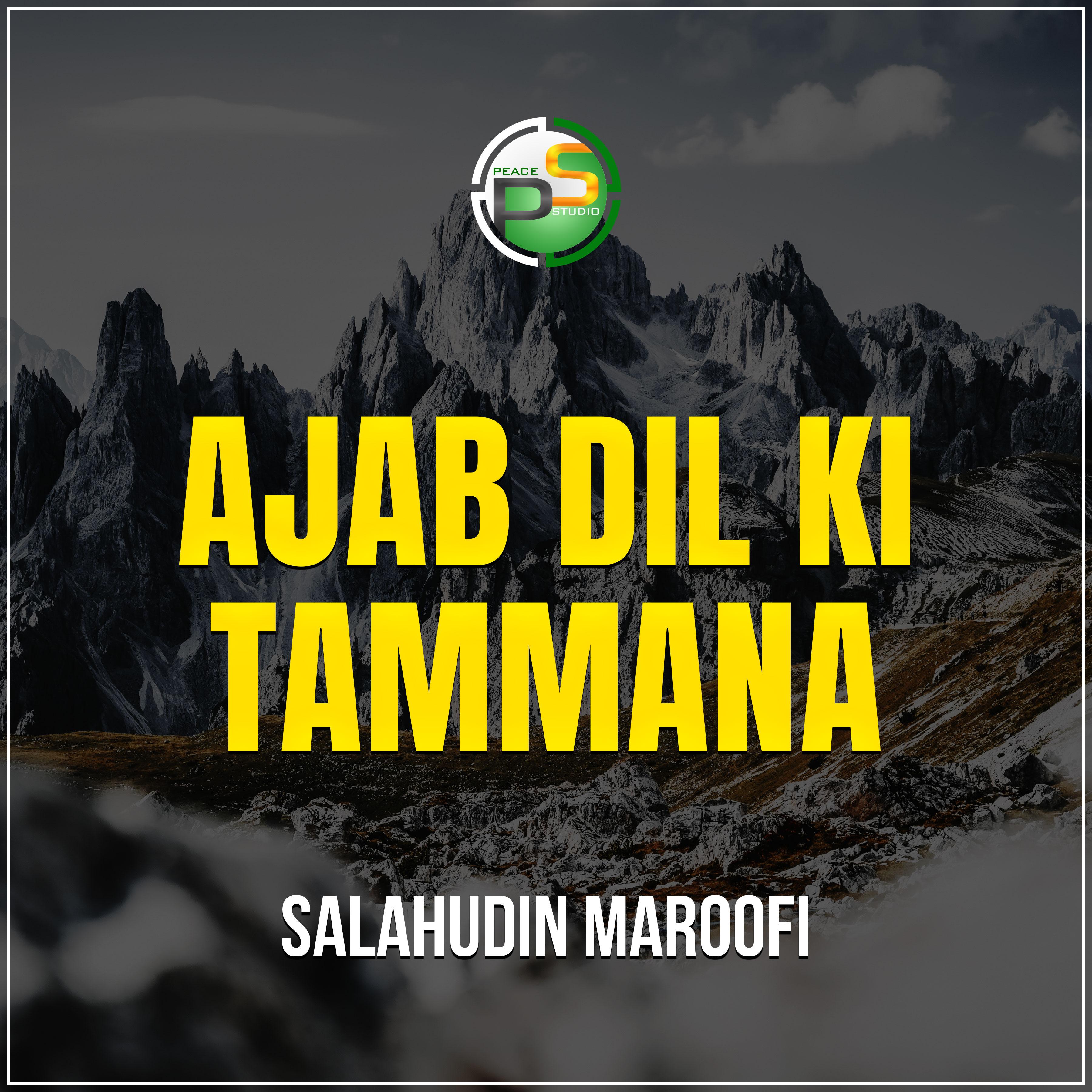 Постер альбома Ajab Dil Ki Tammana