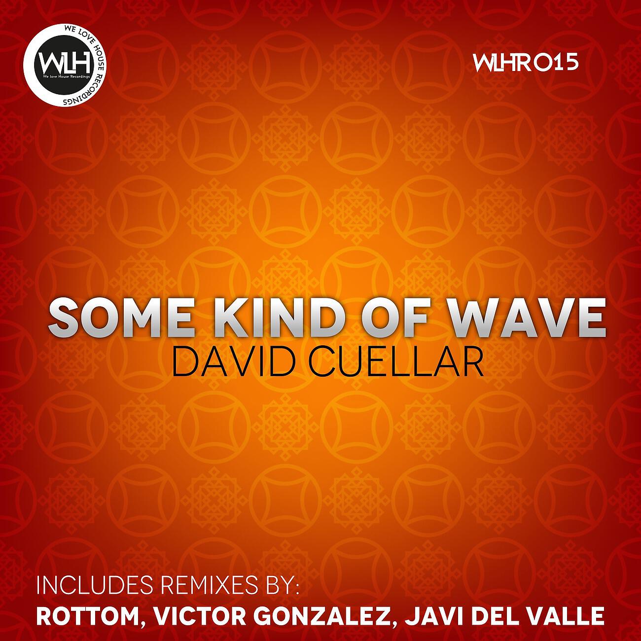 David Cuellar - Some Kind of Wave (Javi Del Valle Remix)