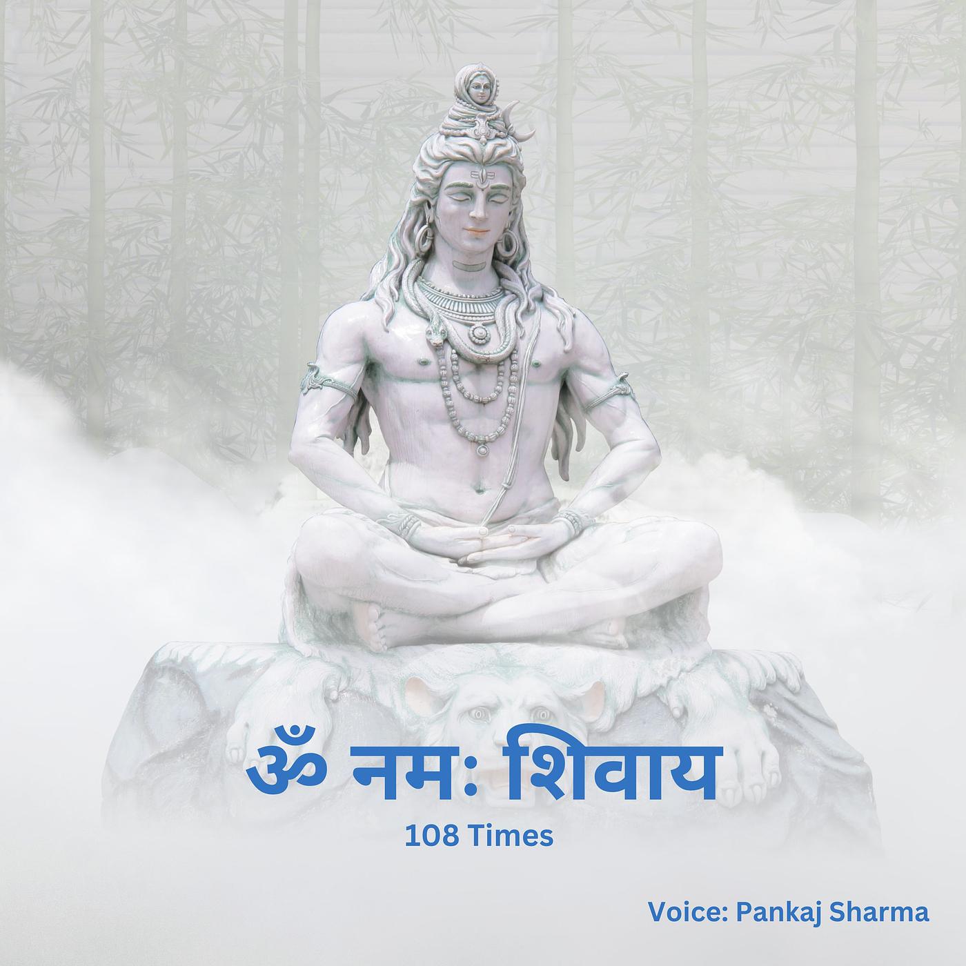 Постер альбома Om Namah Shivay (108 Times)