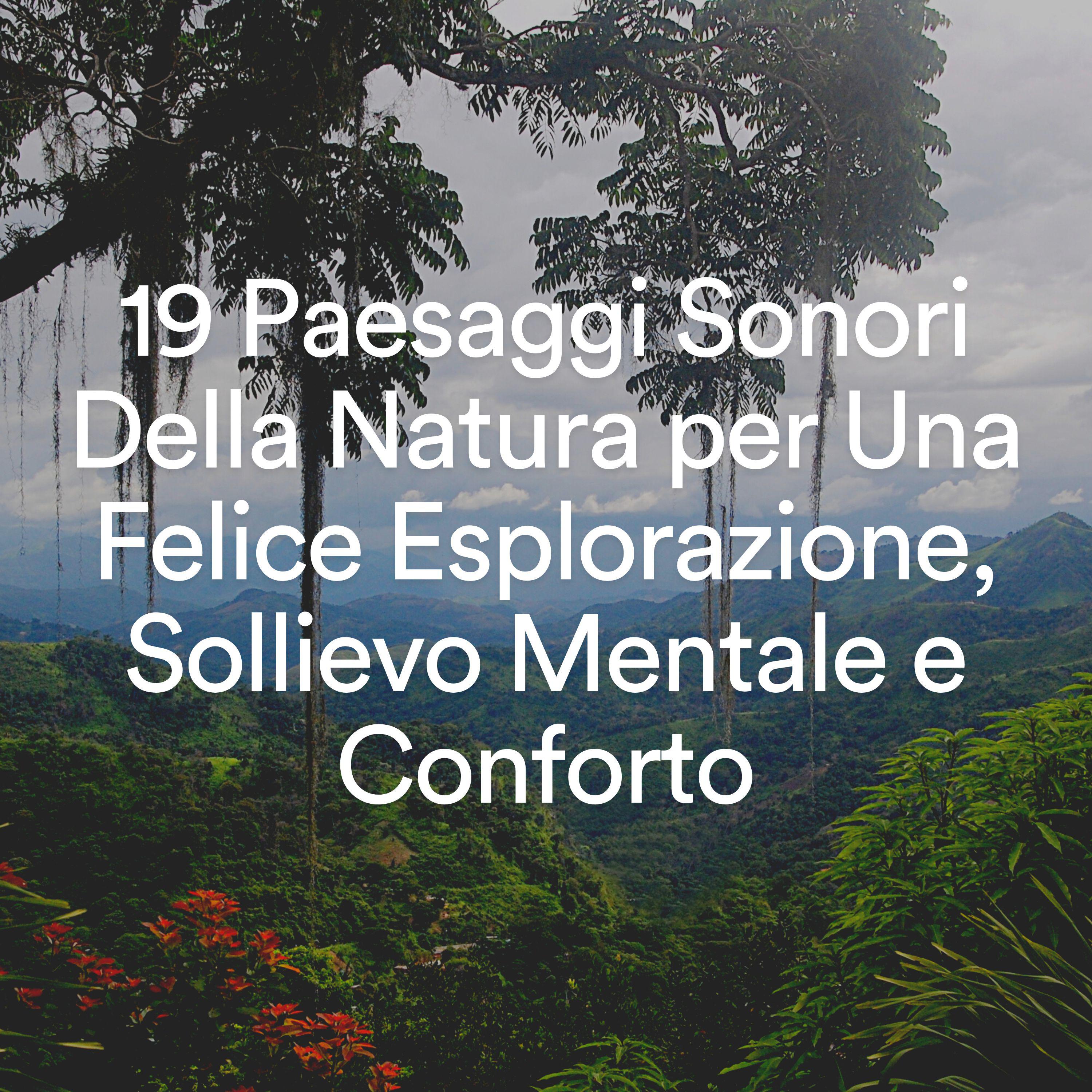 Постер альбома 19 Paesaggi Sonori Della Natura per Una Felice Esplorazione, Sollievo Mentale e Conforto