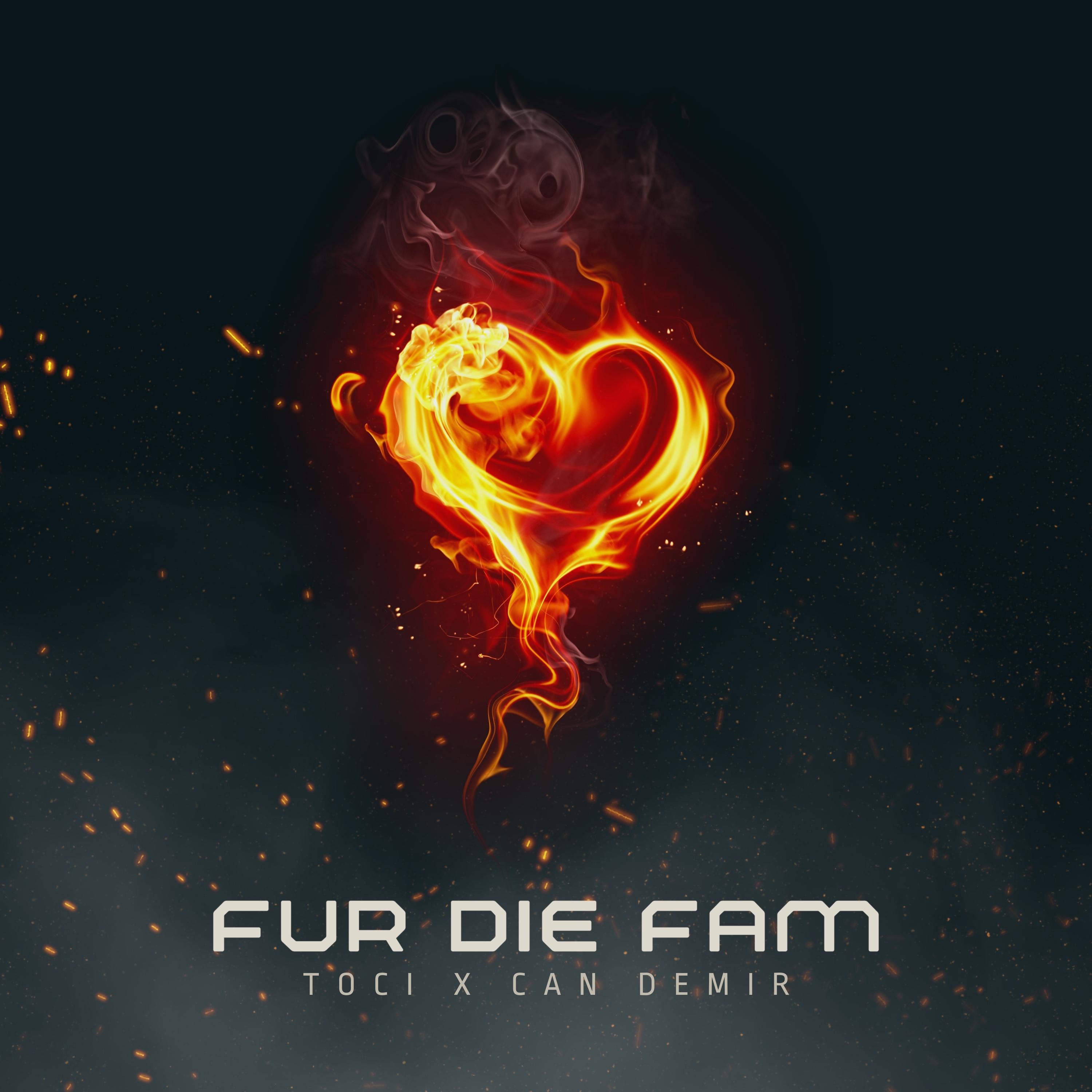 Постер альбома Fur Die Fam