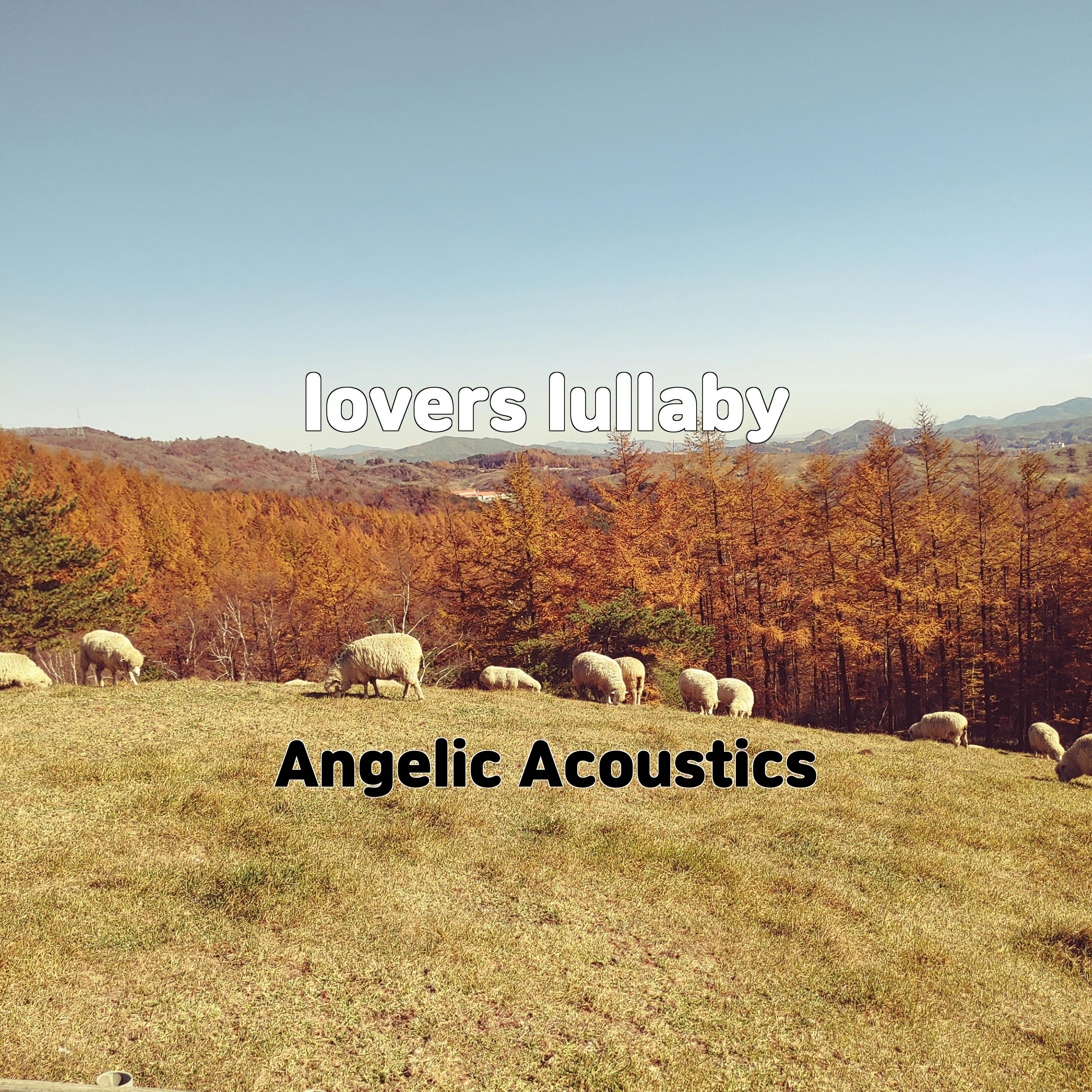 Постер альбома lovers lullaby