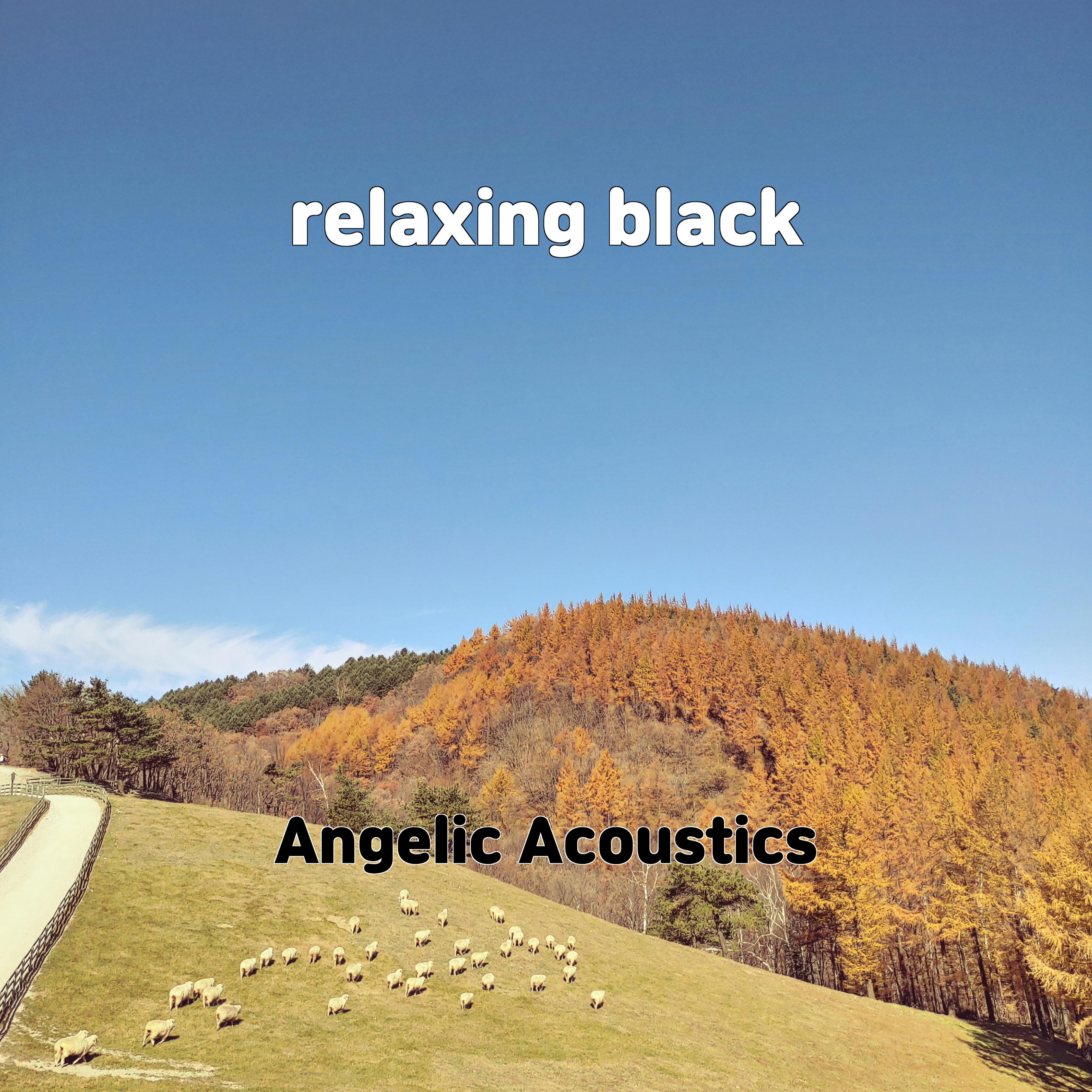 Постер альбома relaxing black