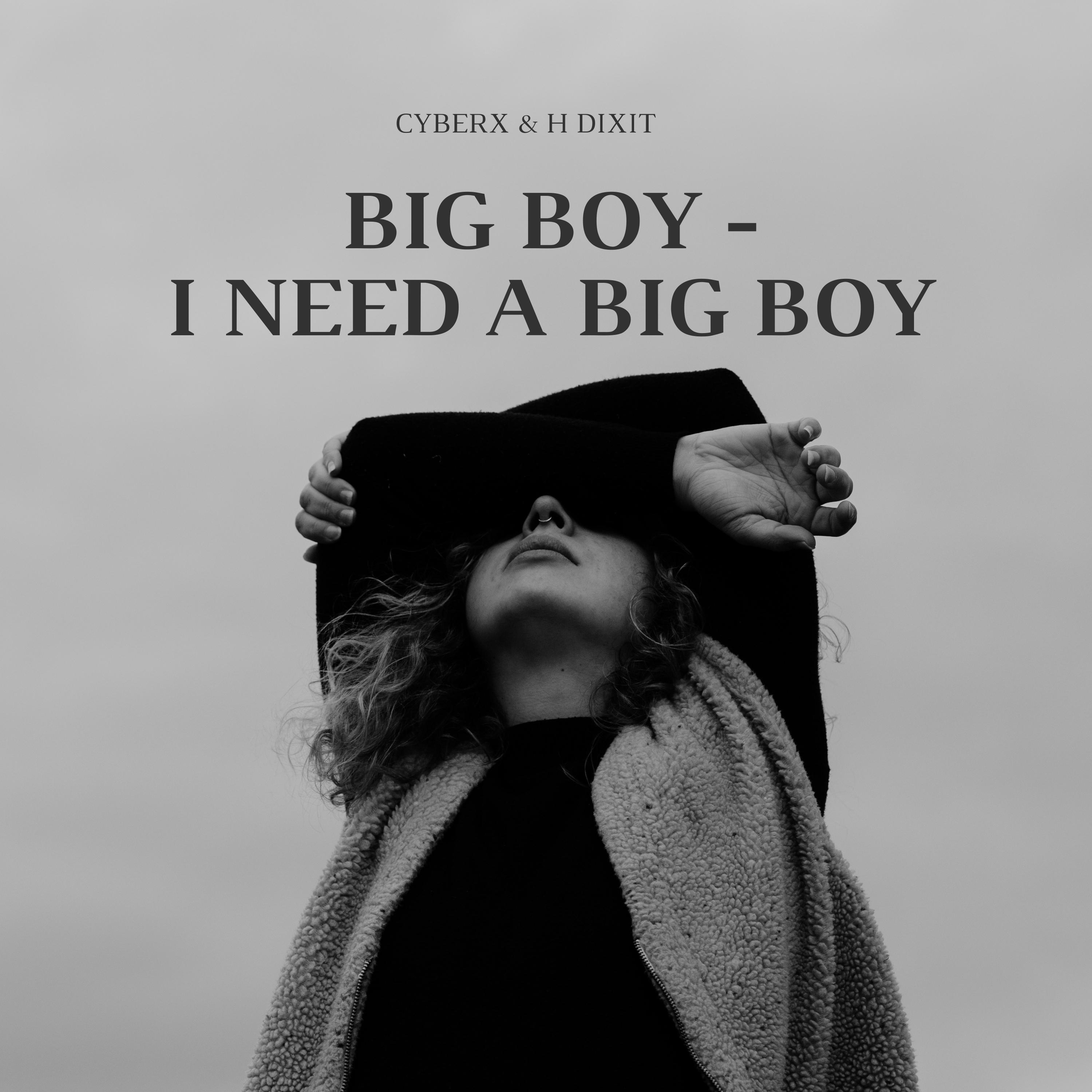 Постер альбома Big Boy - I need a Big boy it's cuffin season