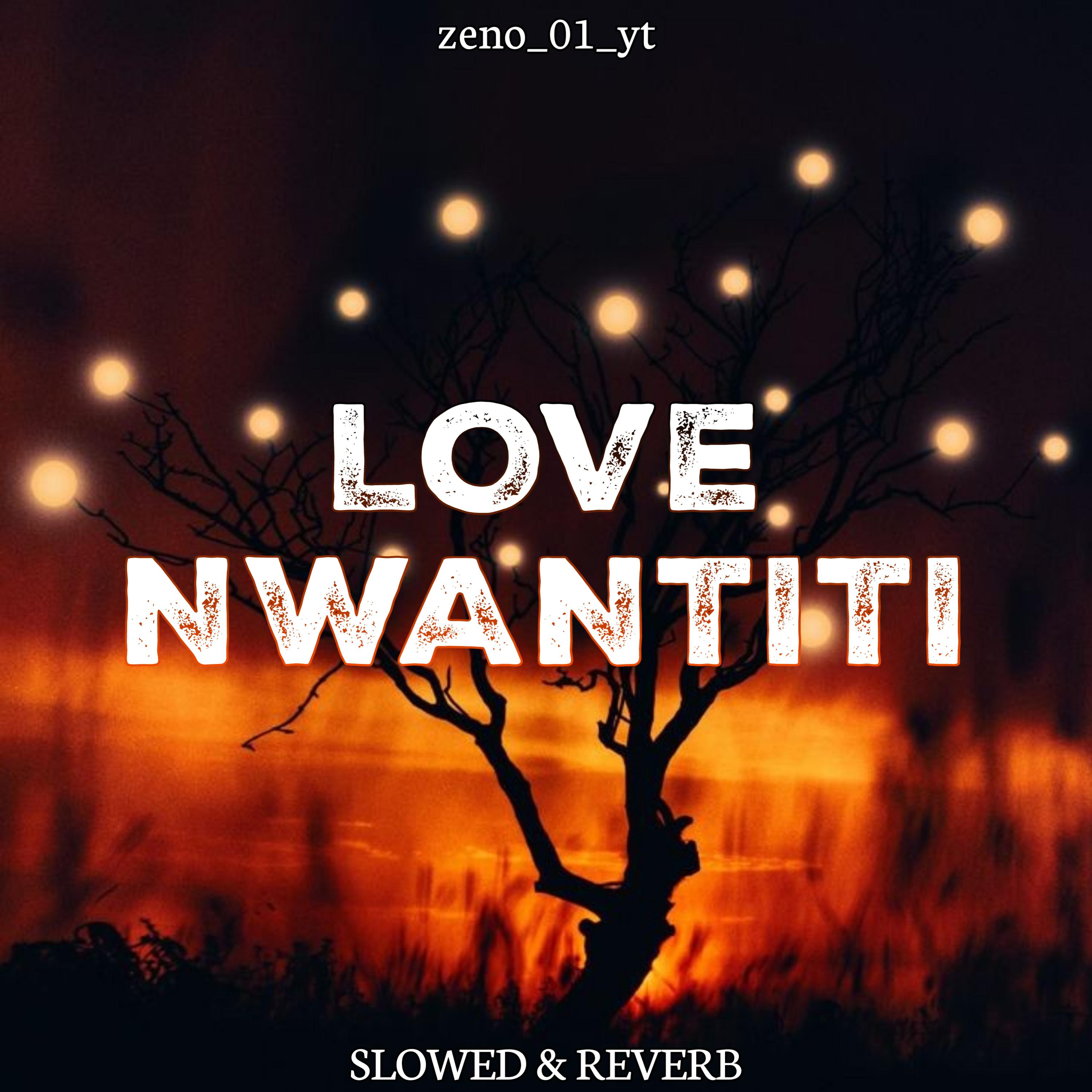 Постер альбома Love nwantiti