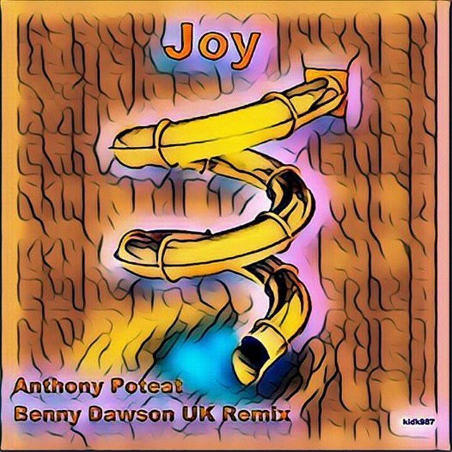 Постер альбома Joy (Reprise Mix)