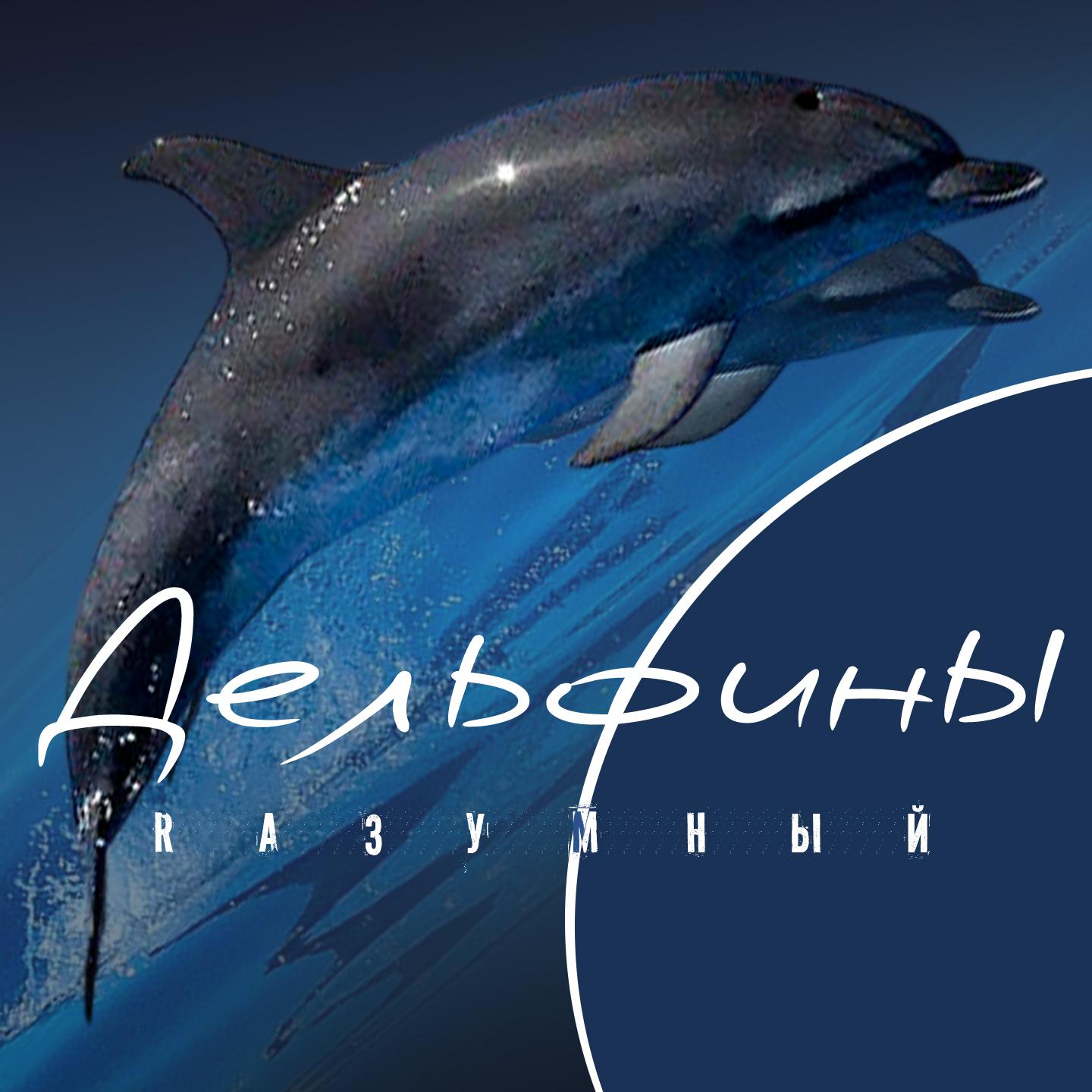Постер альбома Дельфины