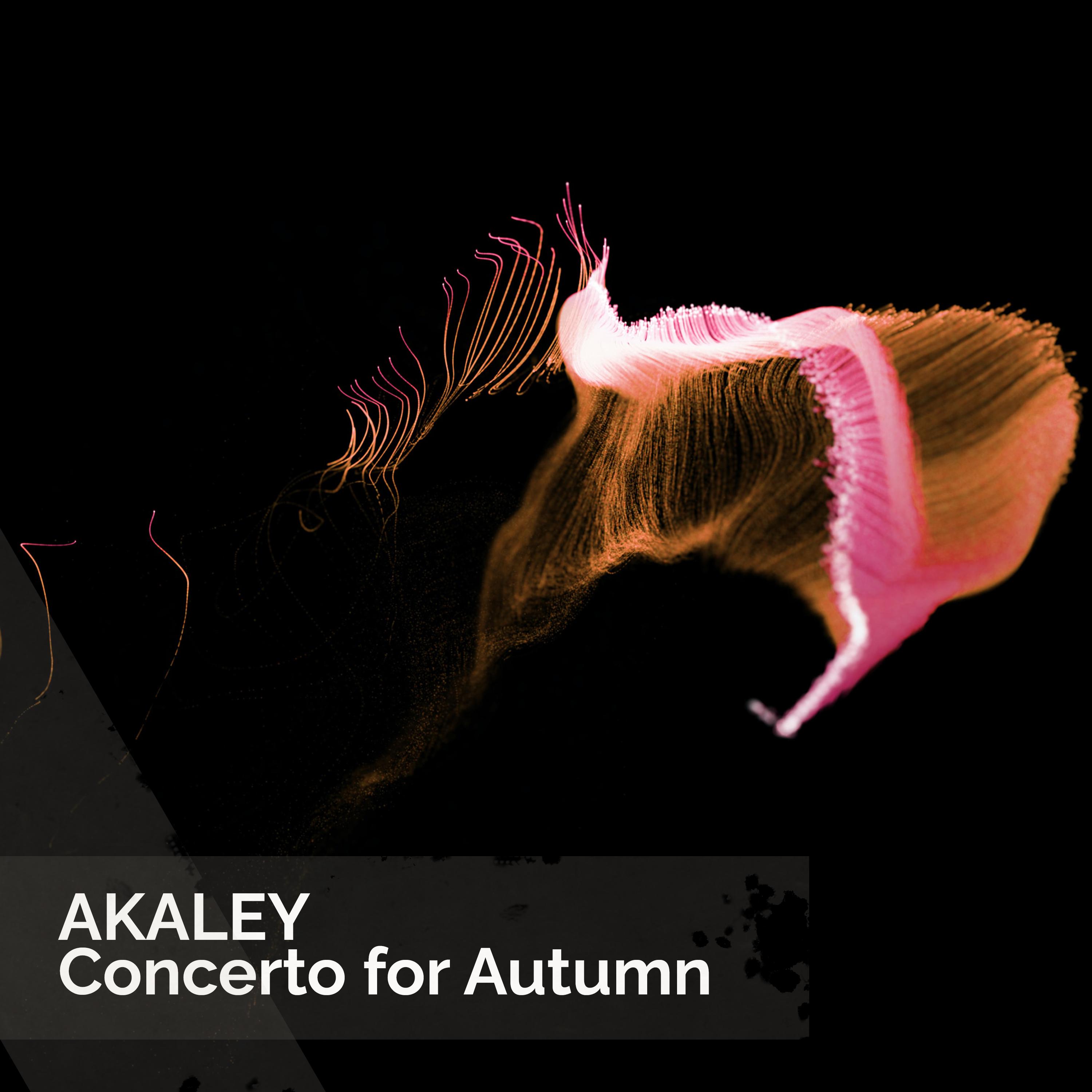 Постер альбома Concerto for Autumn