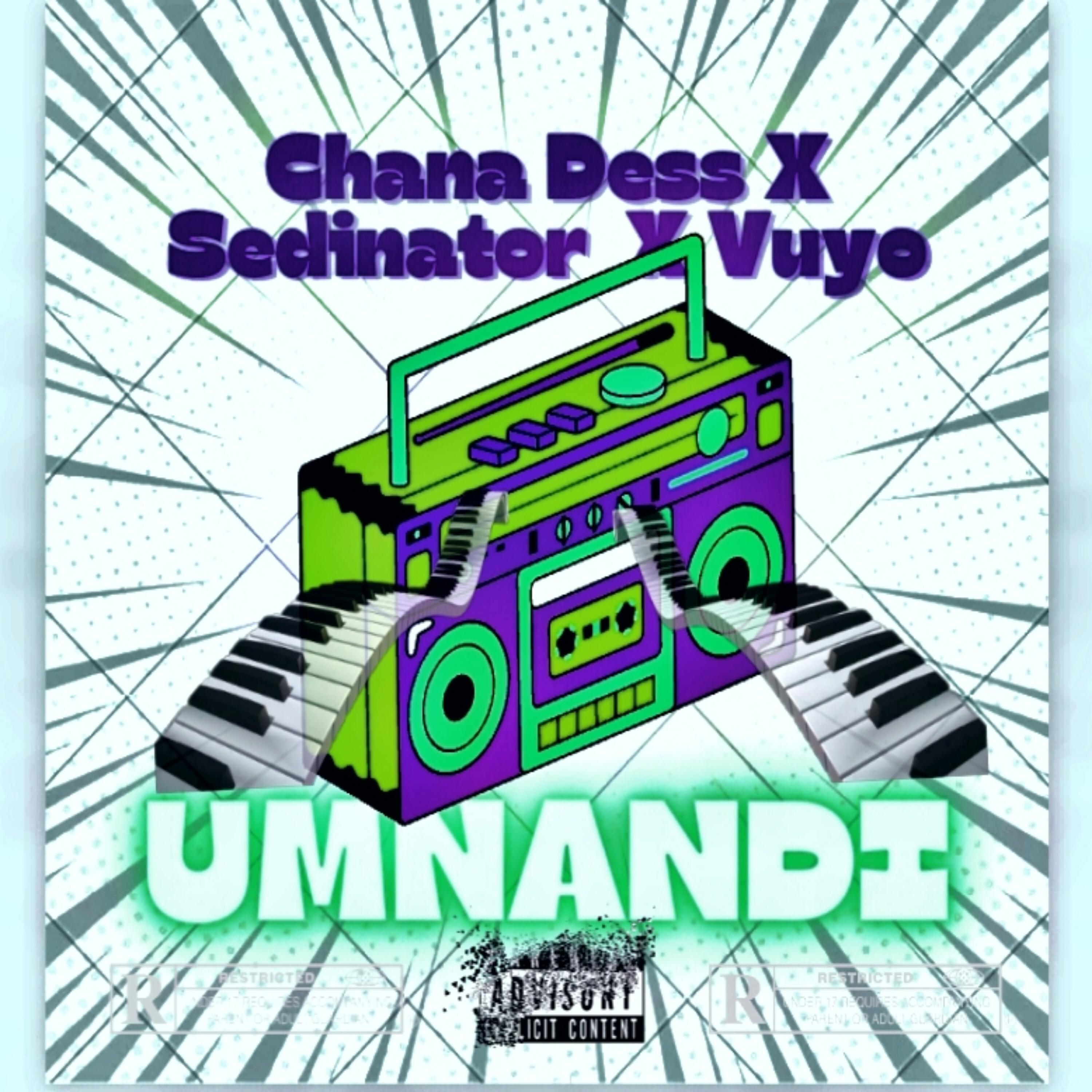 Постер альбома Umnandi