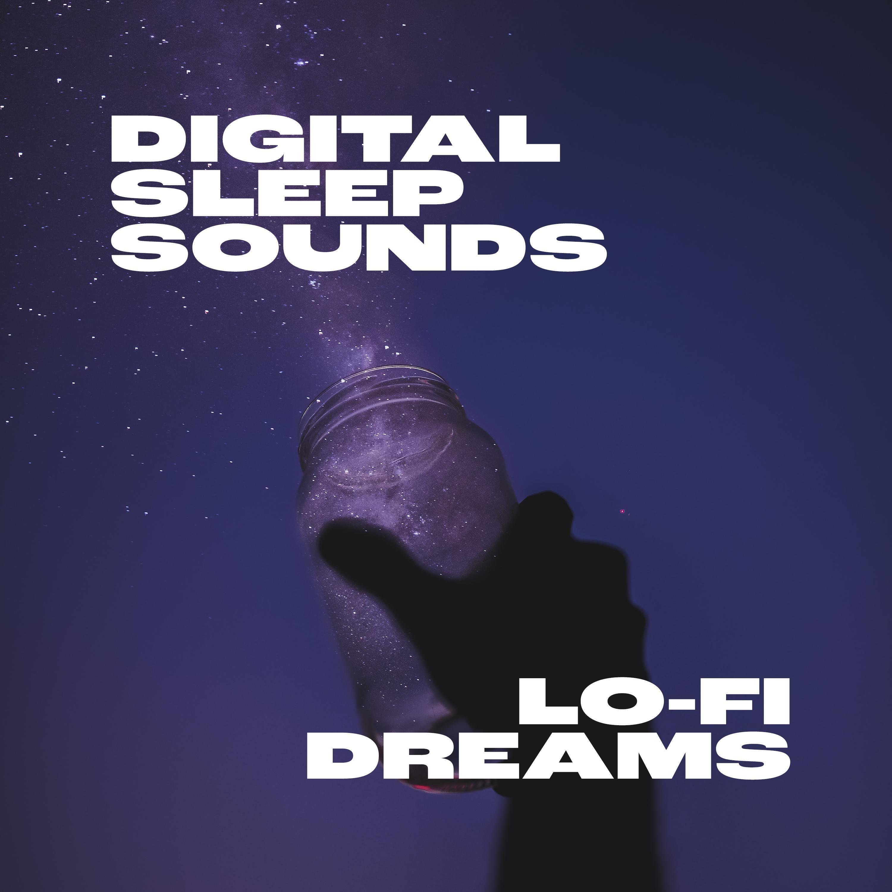 Постер альбома Lo-Fi Dreams (feat. Adam Stoner)